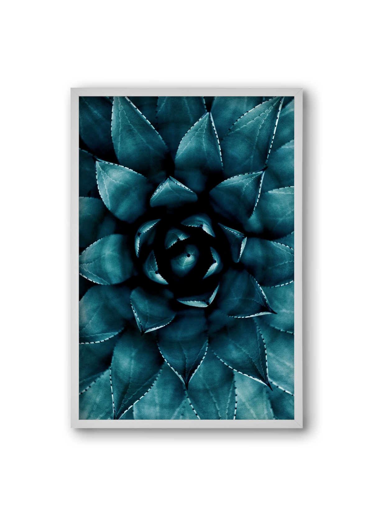 Cactus No. 9, 20x30 cm (20x30 cm), Fehér keret