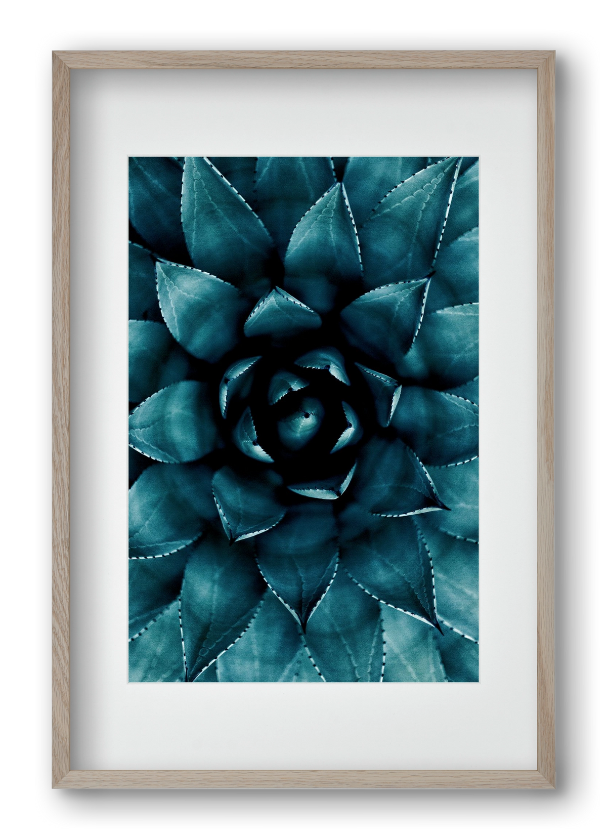 Cactus No. 9, 40x60 cm (30x45 cm), Tölgy keret, paszpartuval