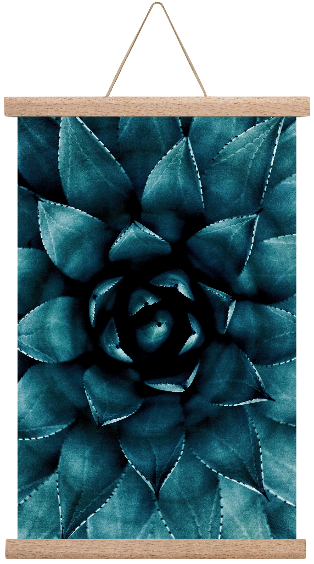 Cactus No. 9, 30x45 cm (30x45 cm), Tölgy akasztó