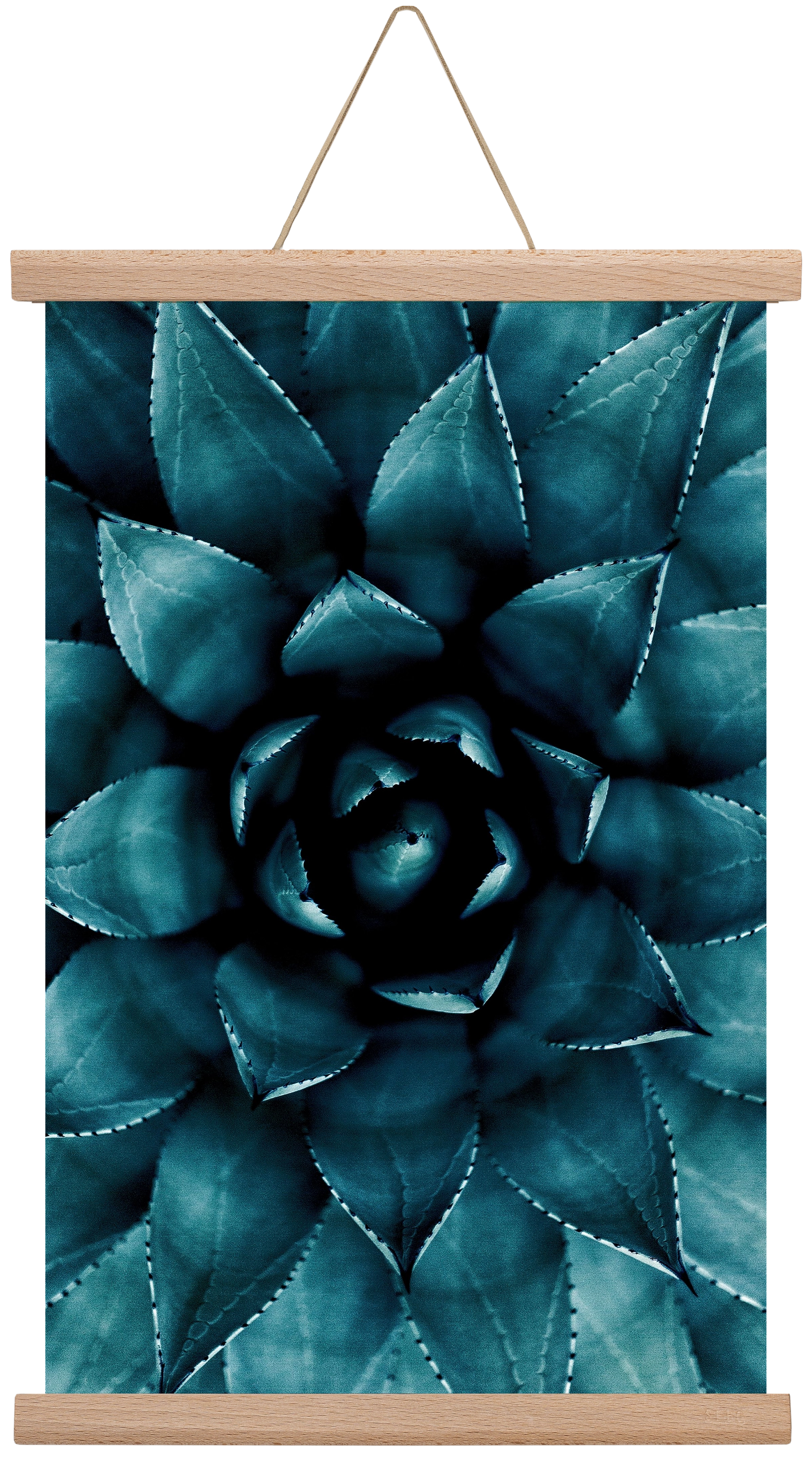 Cactus No. 9, 30x45 cm (30x45 cm), Tölgy akasztó