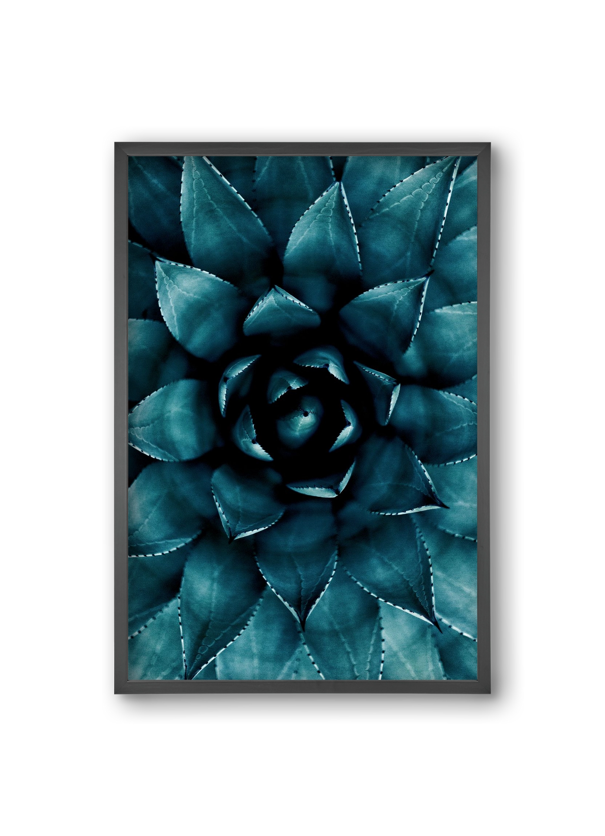 Cactus No. 9, 20x30 cm (20x30 cm), Fekete keret