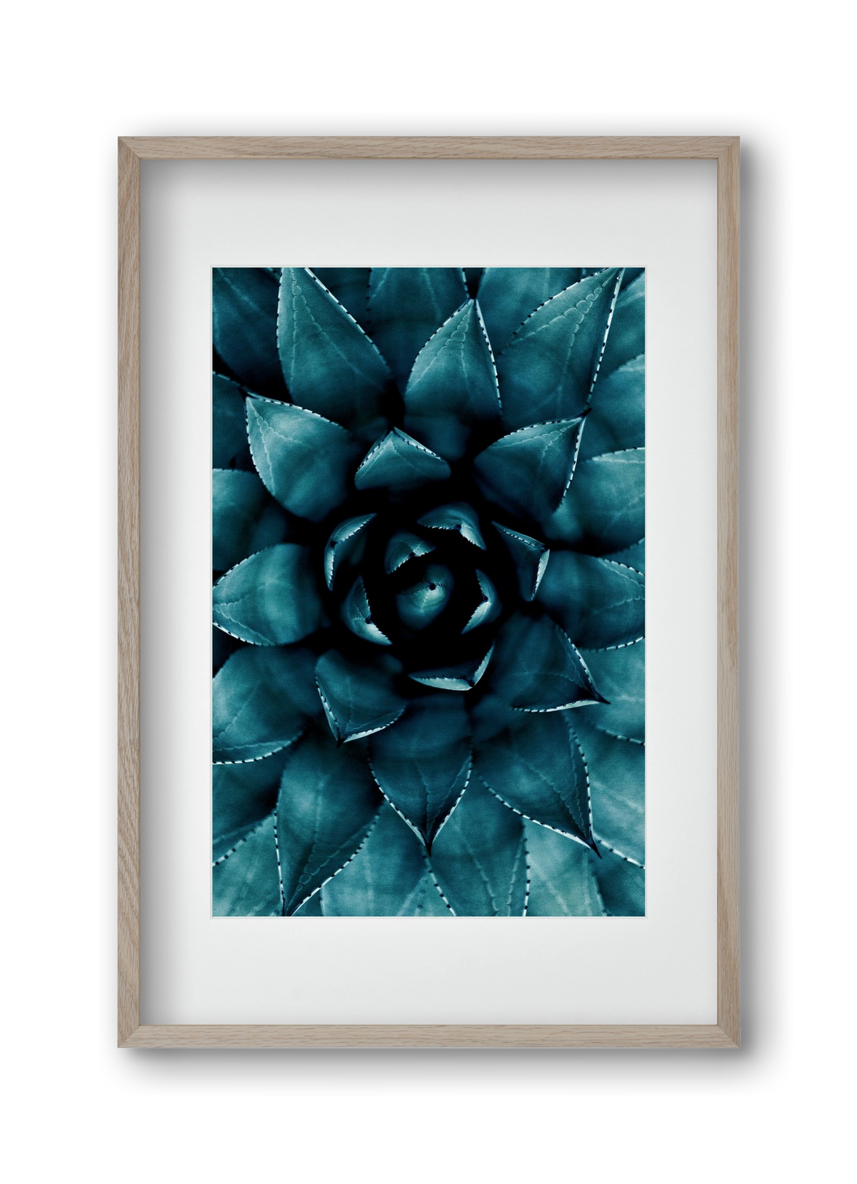 Cactus No. 9, 30x45 cm (20x30 cm), Tölgy keret, paszpartuval