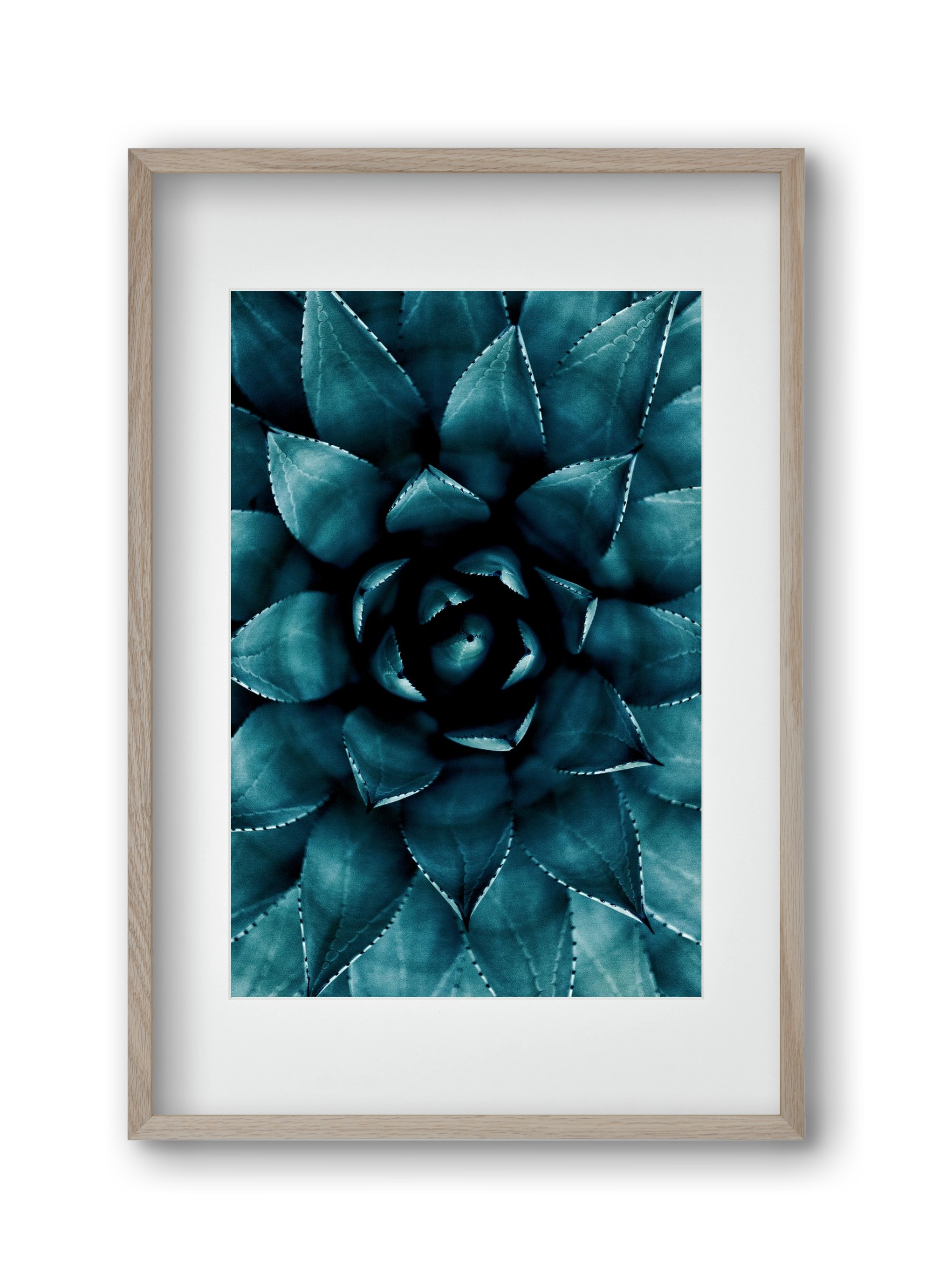 Cactus No. 9, 30x45 cm (20x30 cm), Tölgy keret, paszpartuval