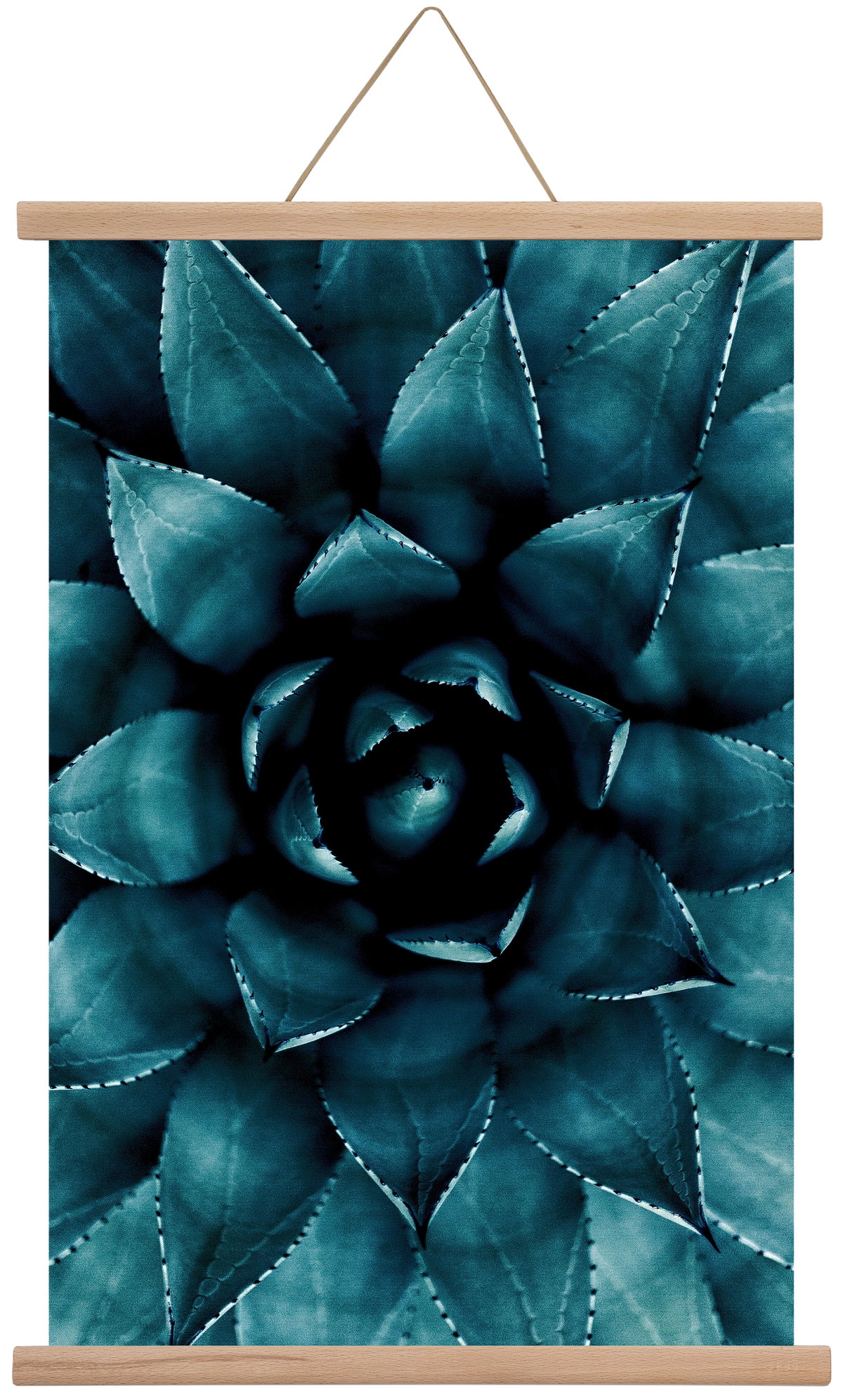 Cactus No. 9, 40x60 cm (40x60 cm), Tölgy akasztó