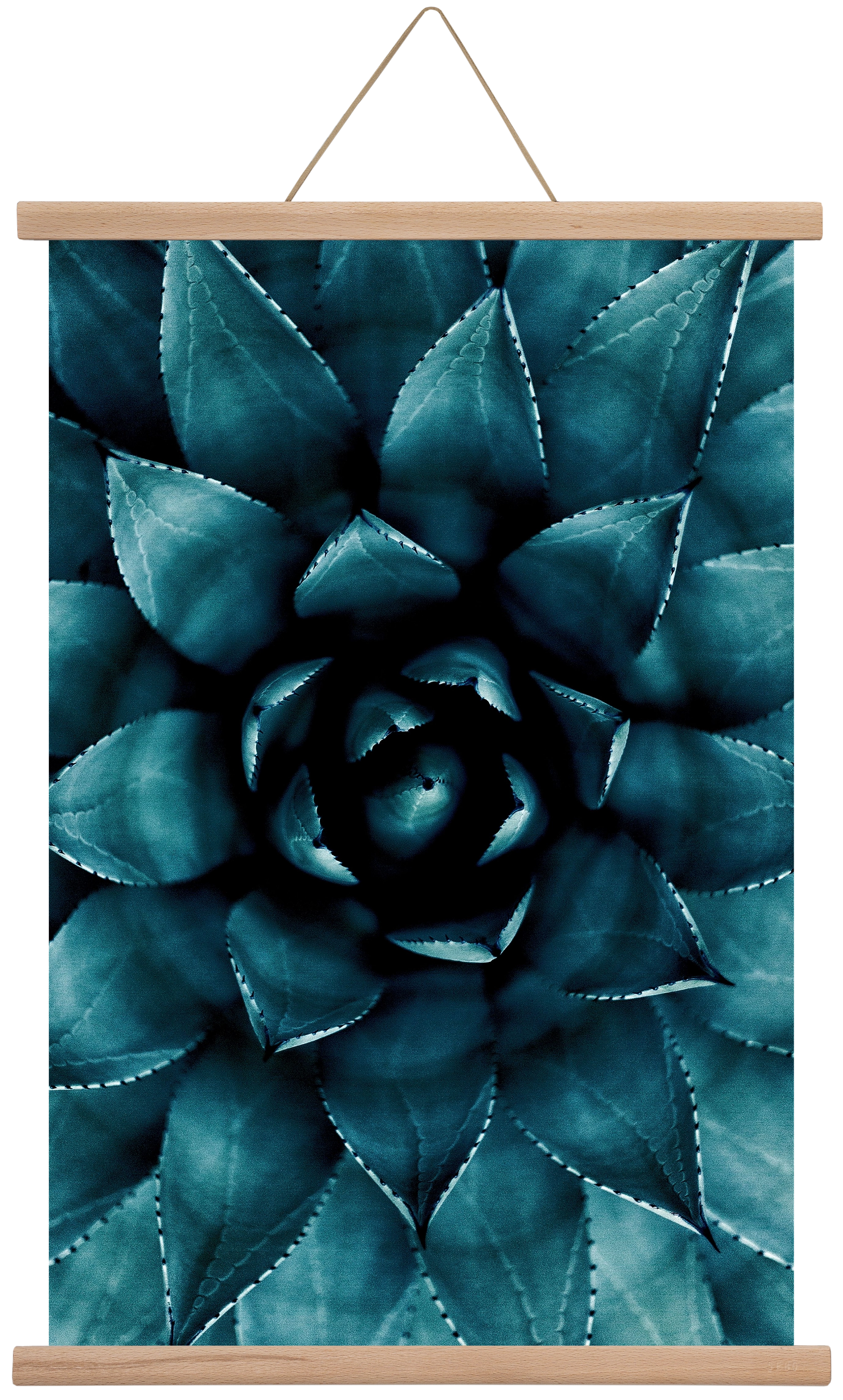 Cactus No. 9, 40x60 cm (40x60 cm), Tölgy akasztó