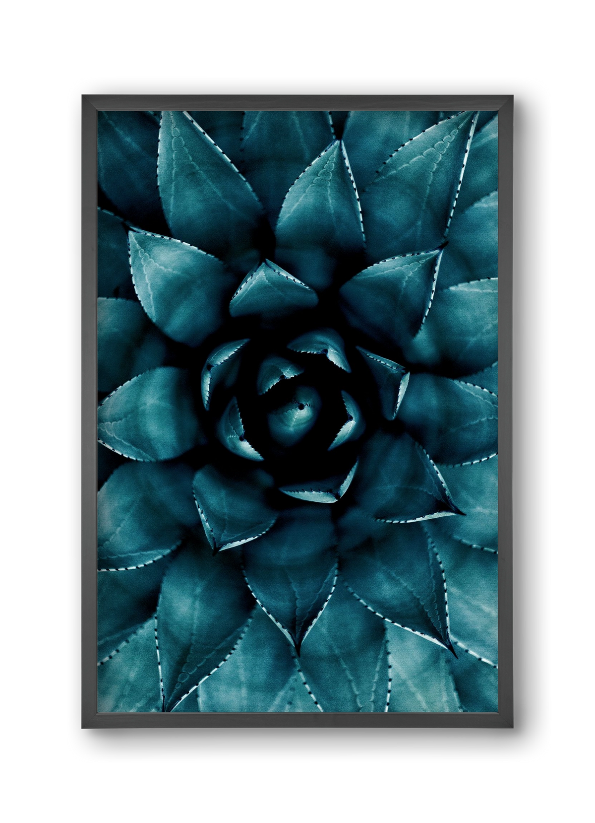 Cactus No. 9, 30x45 cm (30x45 cm), Fekete keret