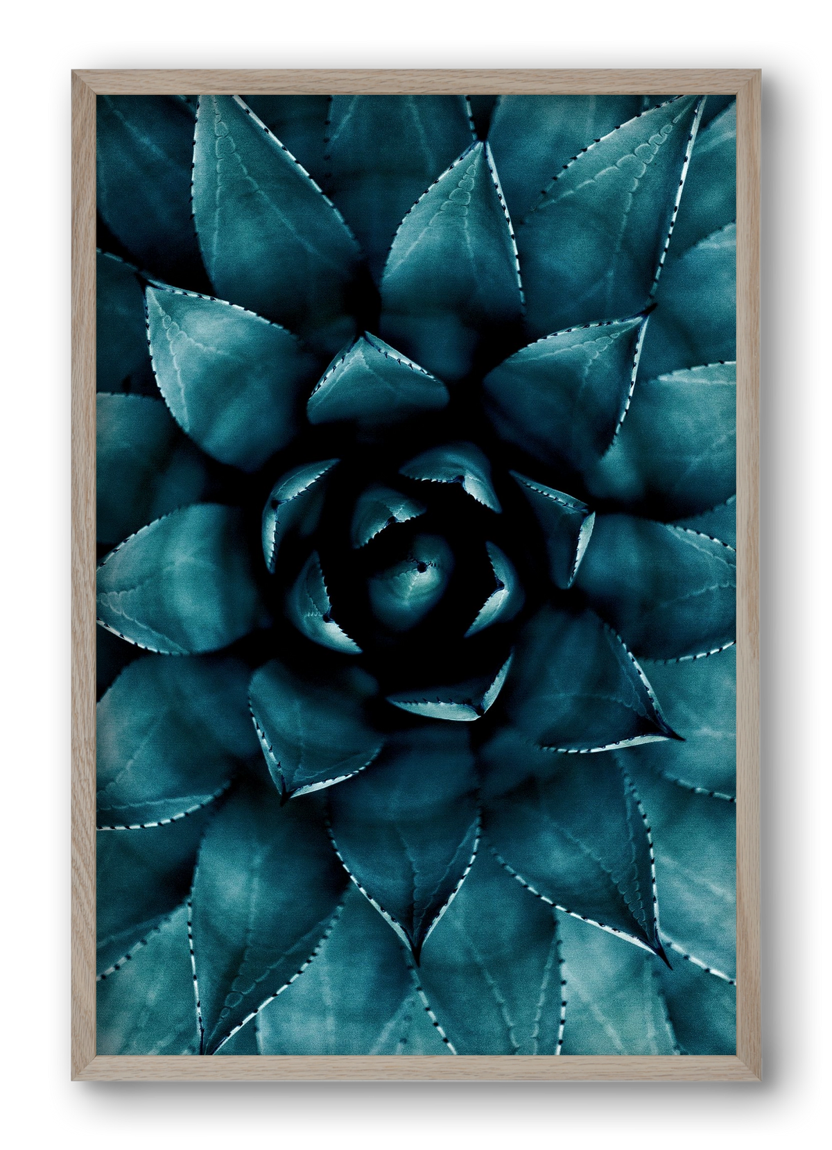 Cactus No. 9, 40x60 cm (40x60 cm), Tölgy keret