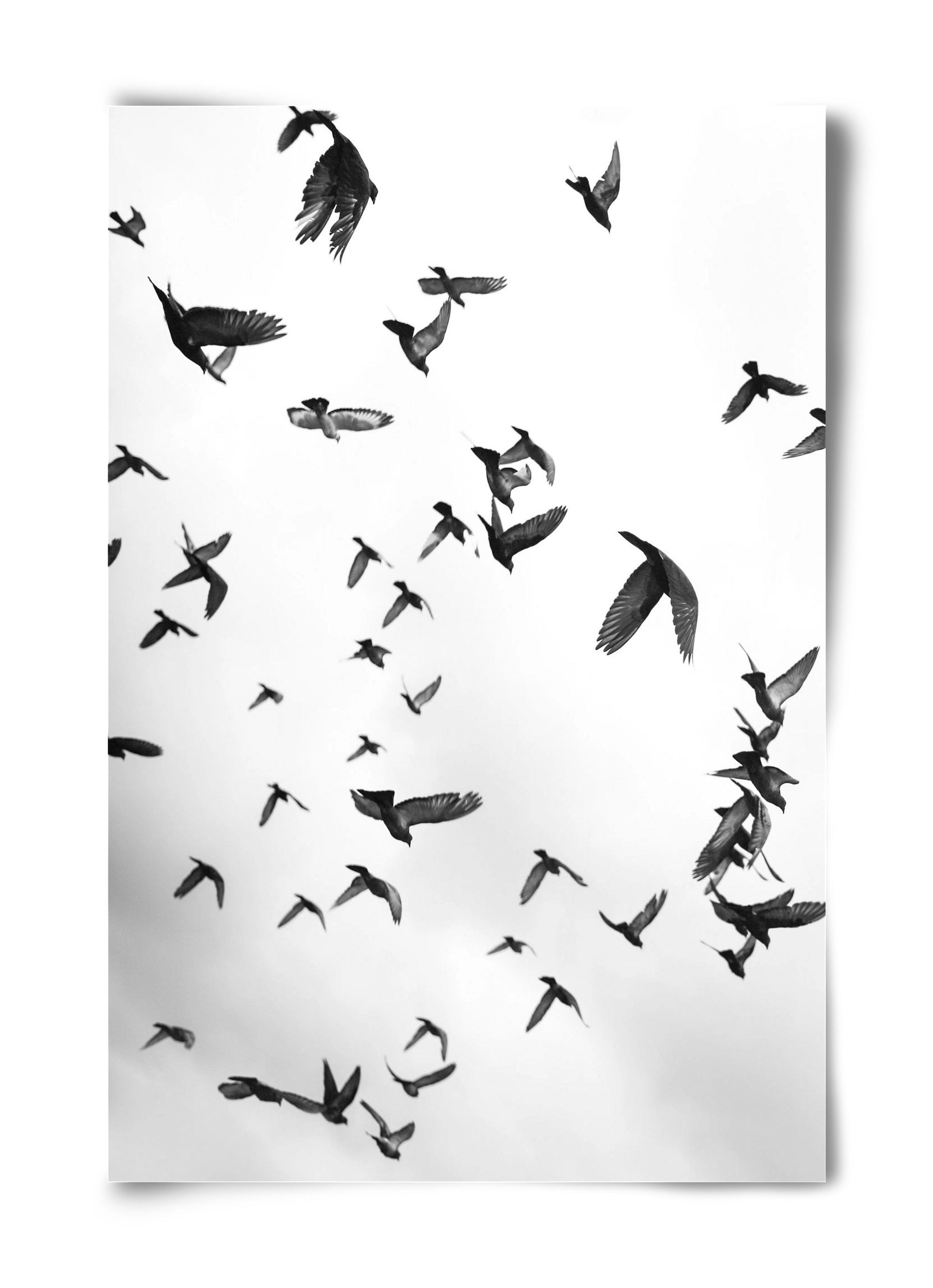 Flight & Freedom II., 40x60 cm, Keret nélkül