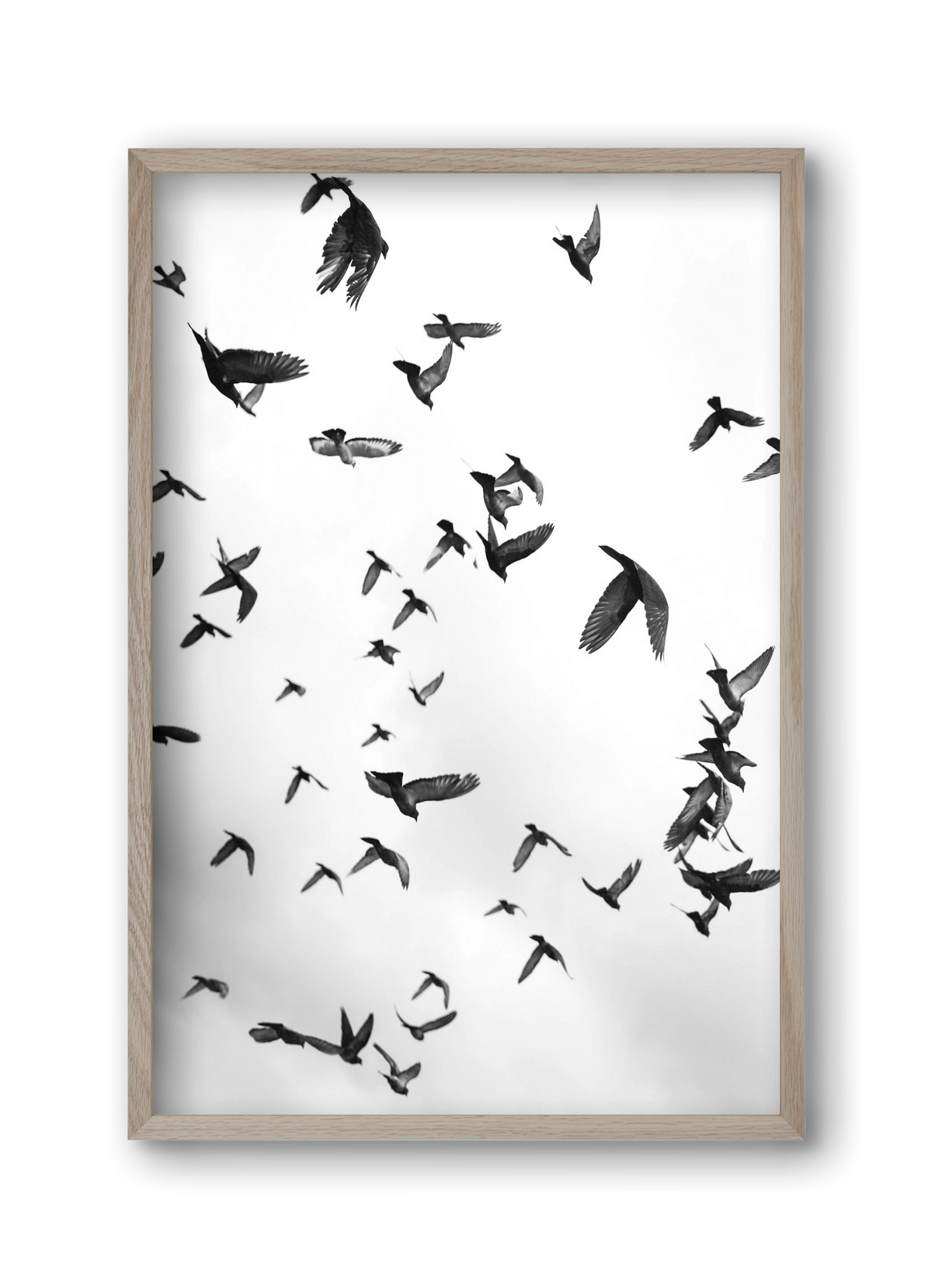 Flight & Freedom II., 30x45 cm (30x45 cm), Tölgy keret