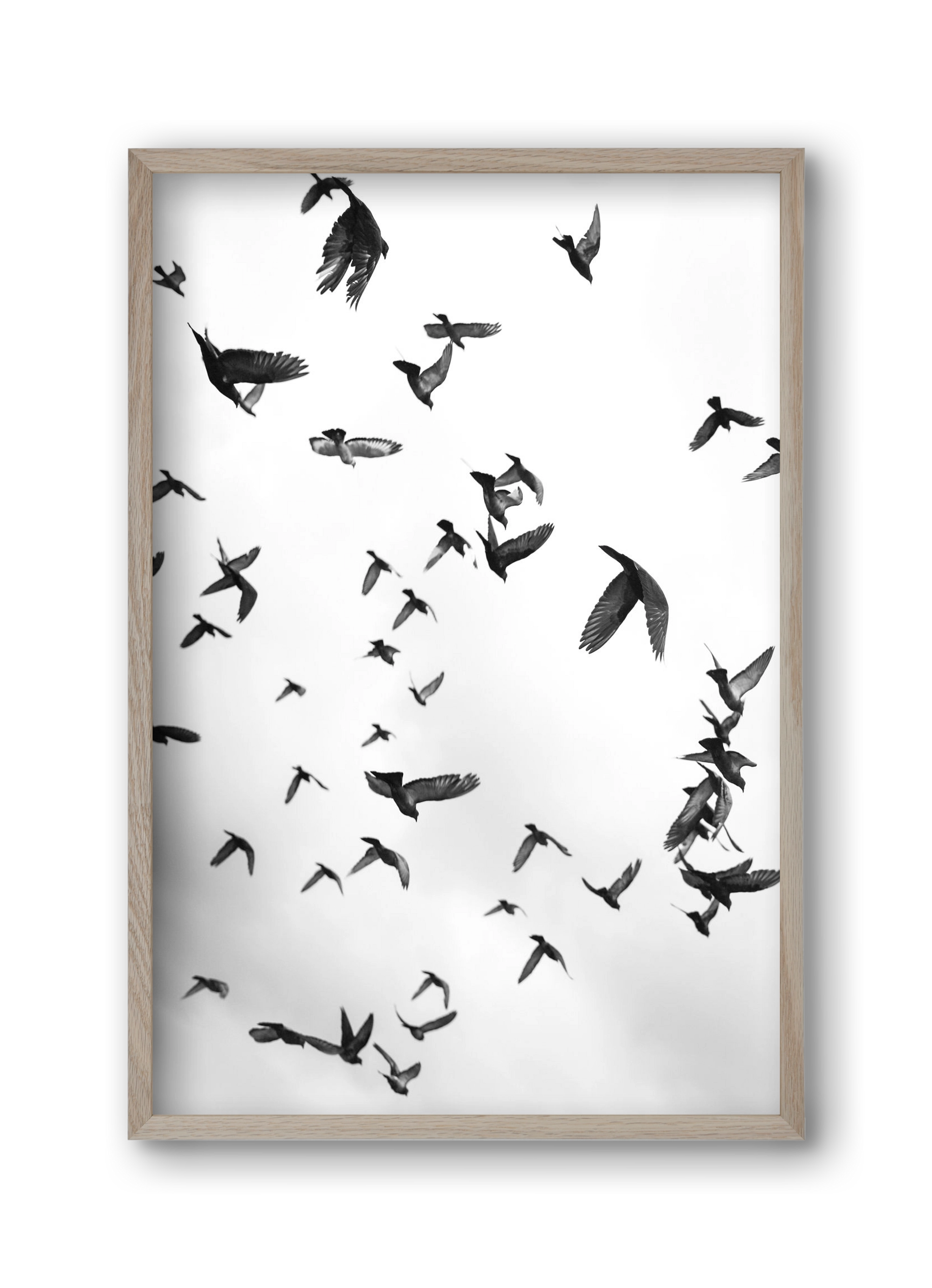 Flight & Freedom II., 30x45 cm (30x45 cm), Tölgy keret