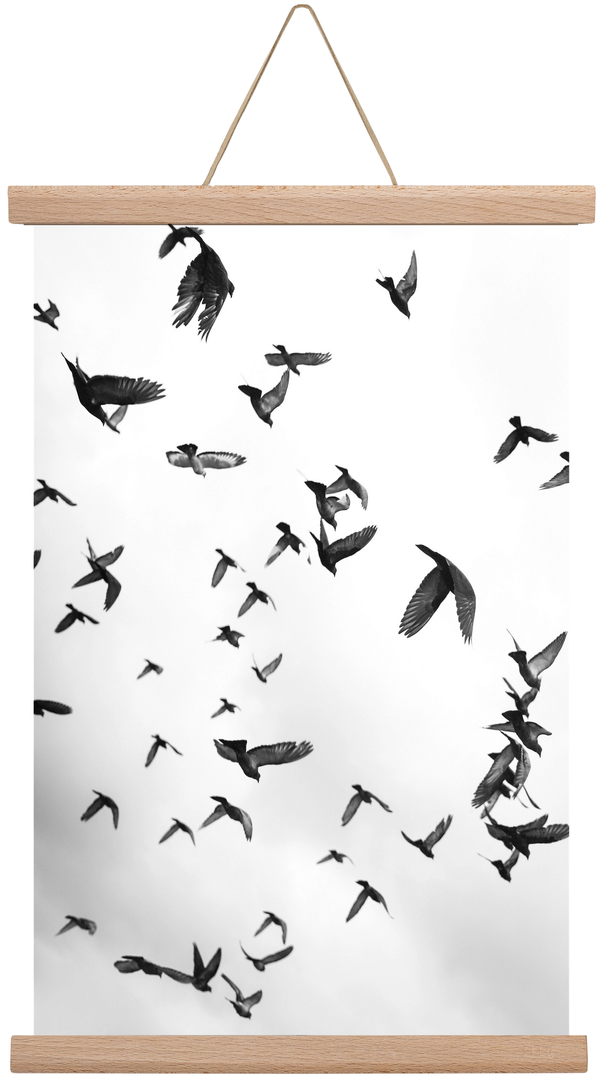 Flight & Freedom II., 30x45 cm (30x45 cm), Tölgy akasztó