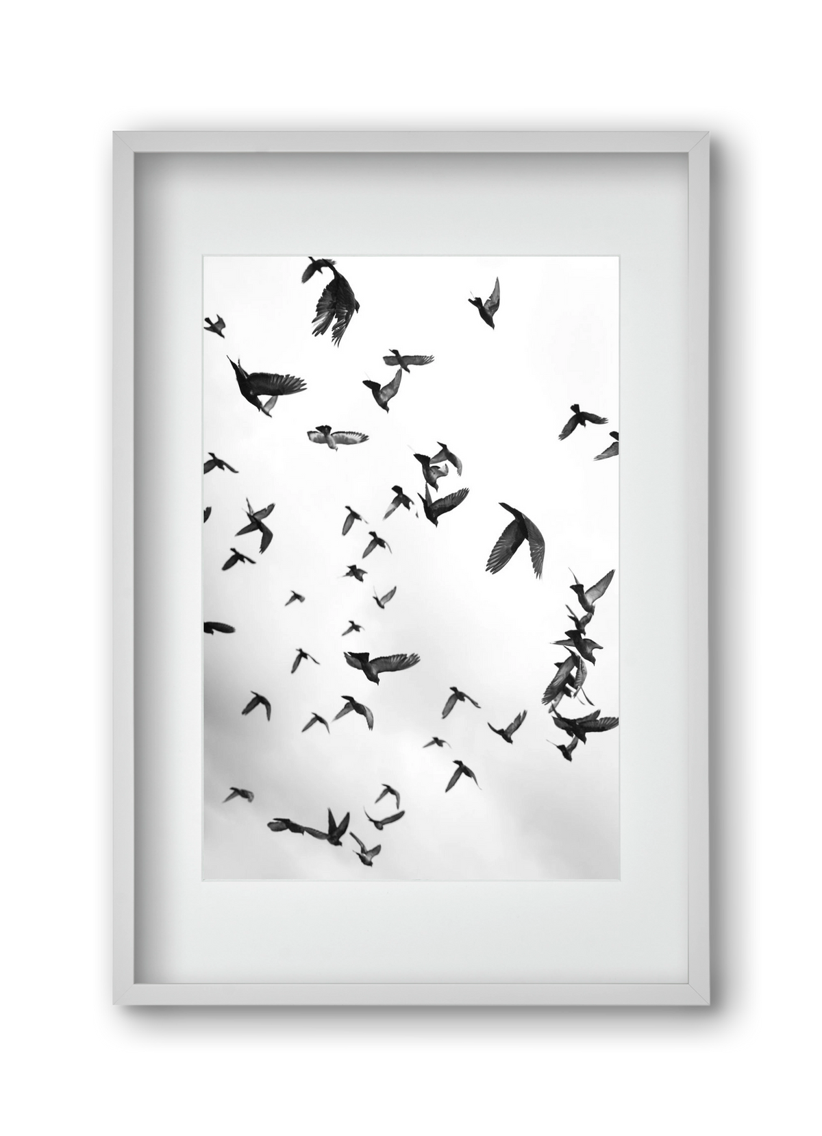 Flight & Freedom II., 30x45 cm (20x30 cm), Fehér keret, paszpartuval