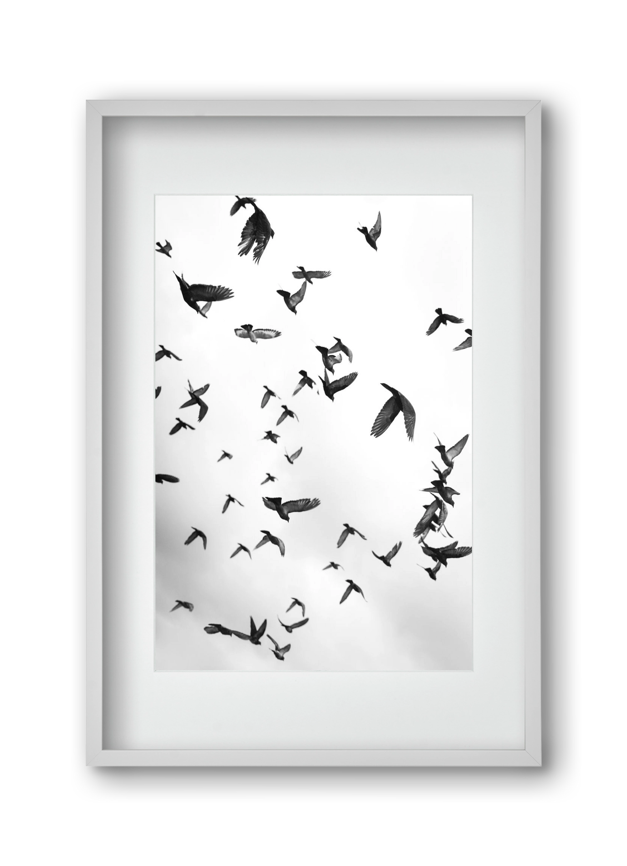 Flight & Freedom II., 30x45 cm (20x30 cm), Fehér keret, paszpartuval