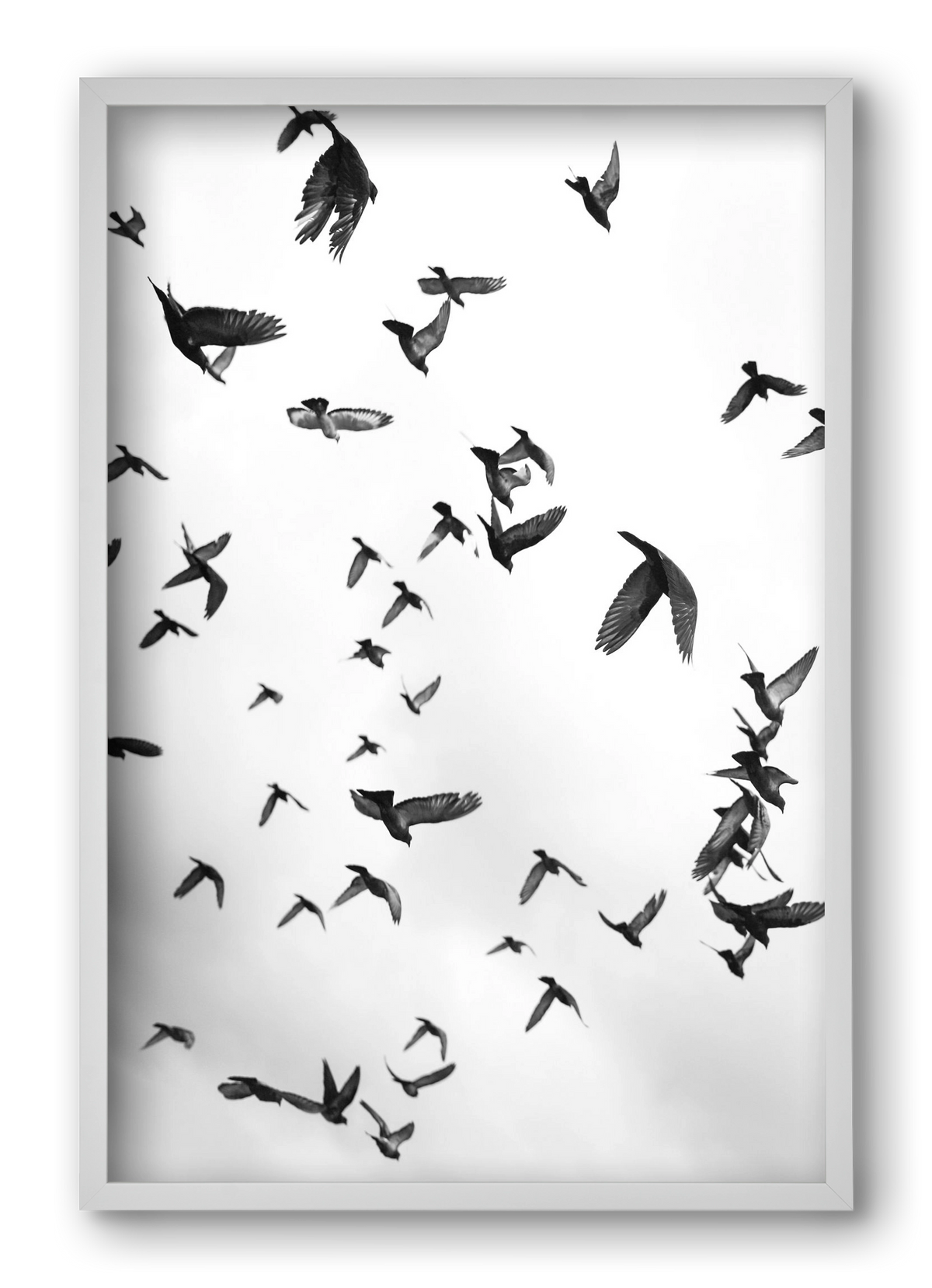 Flight & Freedom II., 40x60 cm (40x60 cm), Fehér keret