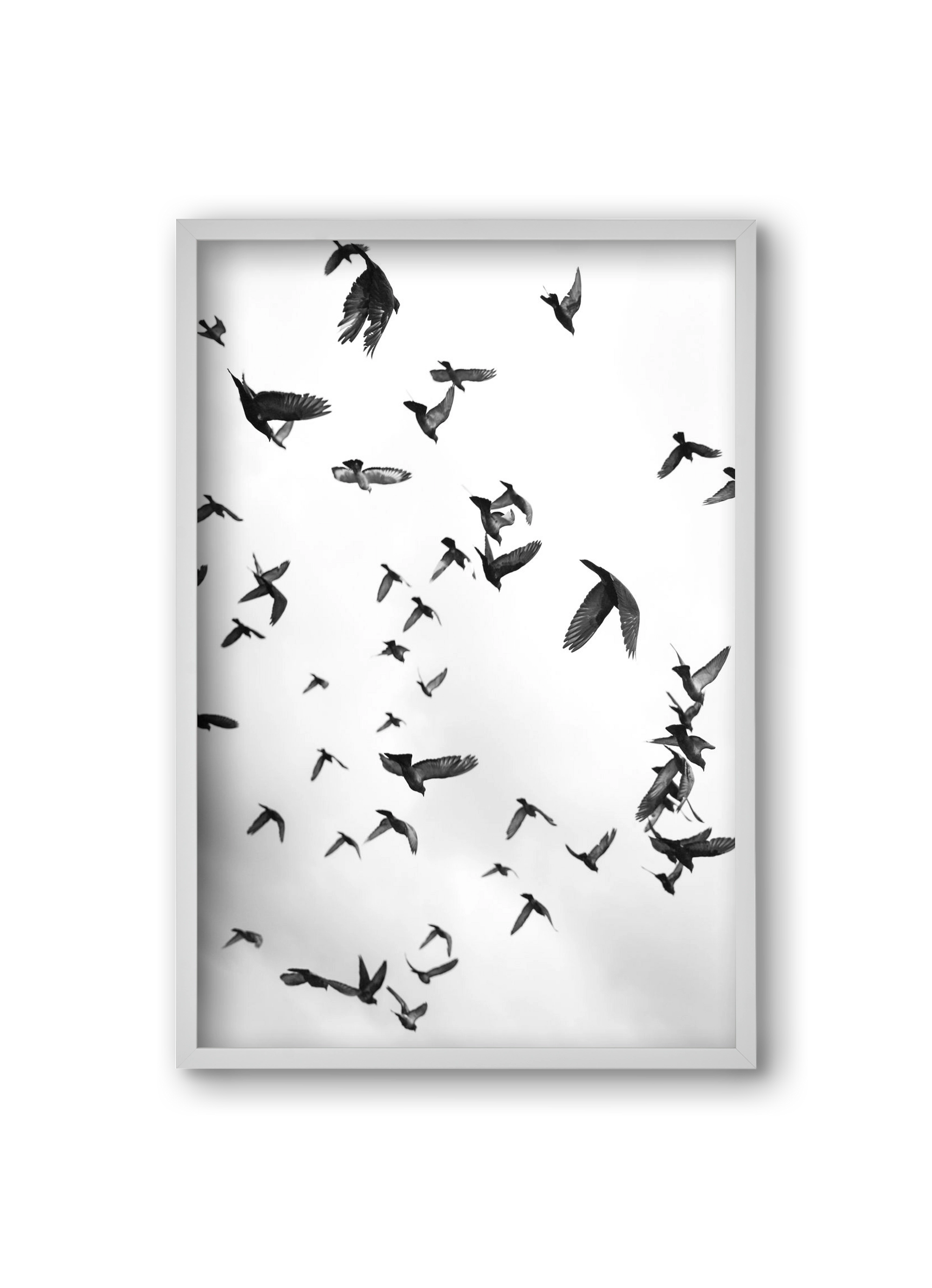 Flight & Freedom II., 20x30 cm (20x30 cm), Fehér keret