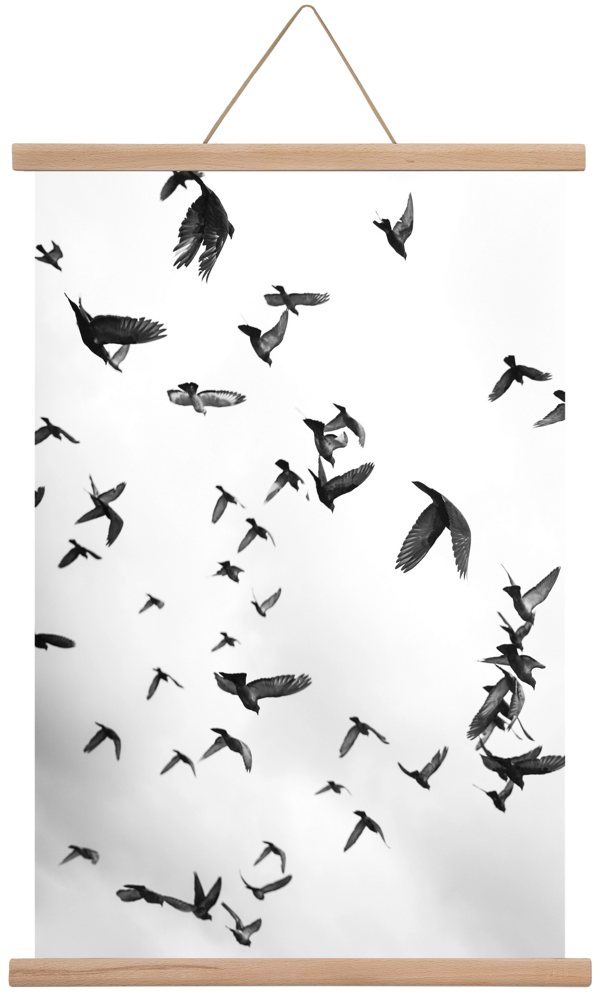 Flight & Freedom II., 40x60 cm (40x60 cm), Tölgy akasztó