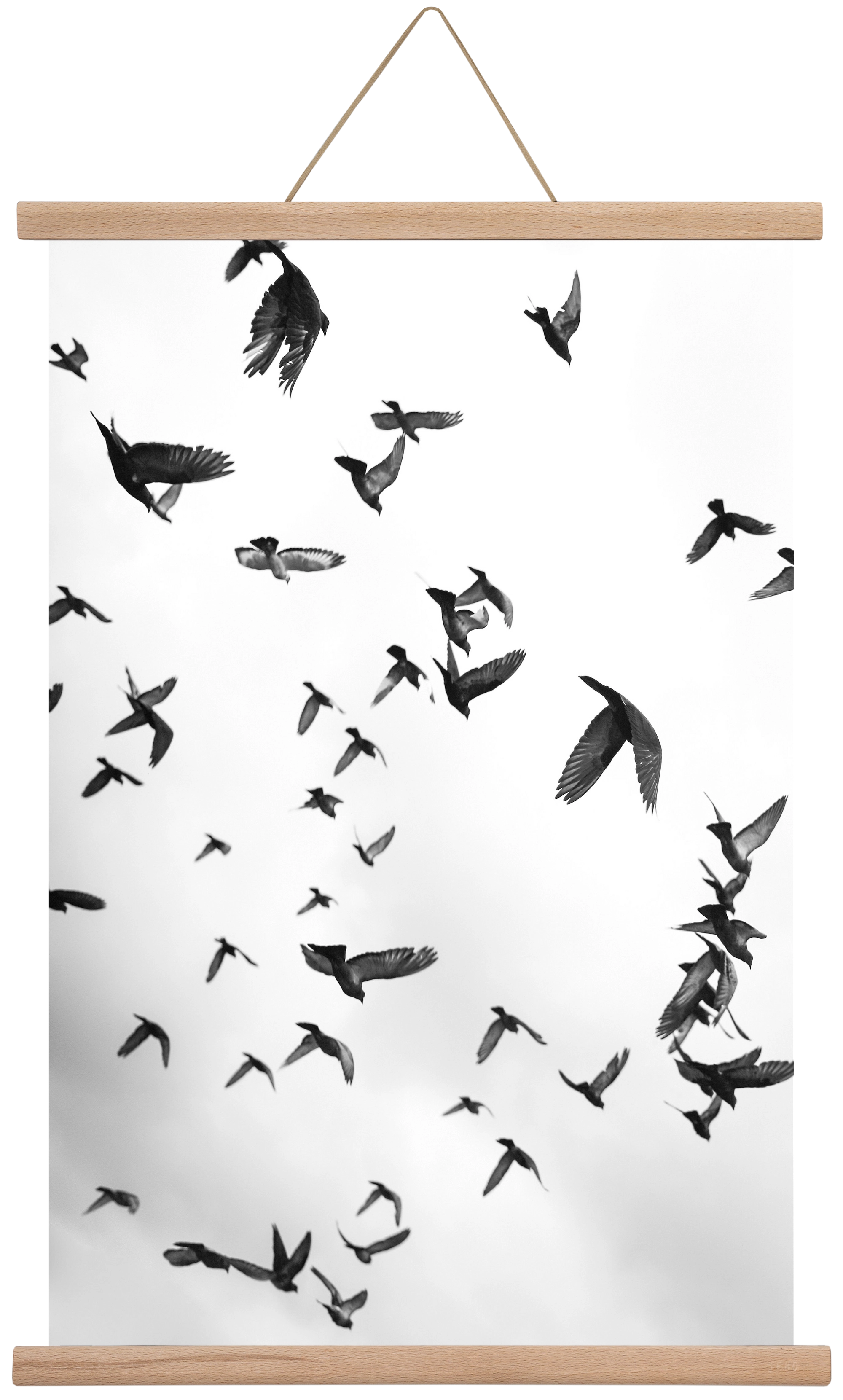 Flight & Freedom II., 40x60 cm (40x60 cm), Tölgy akasztó