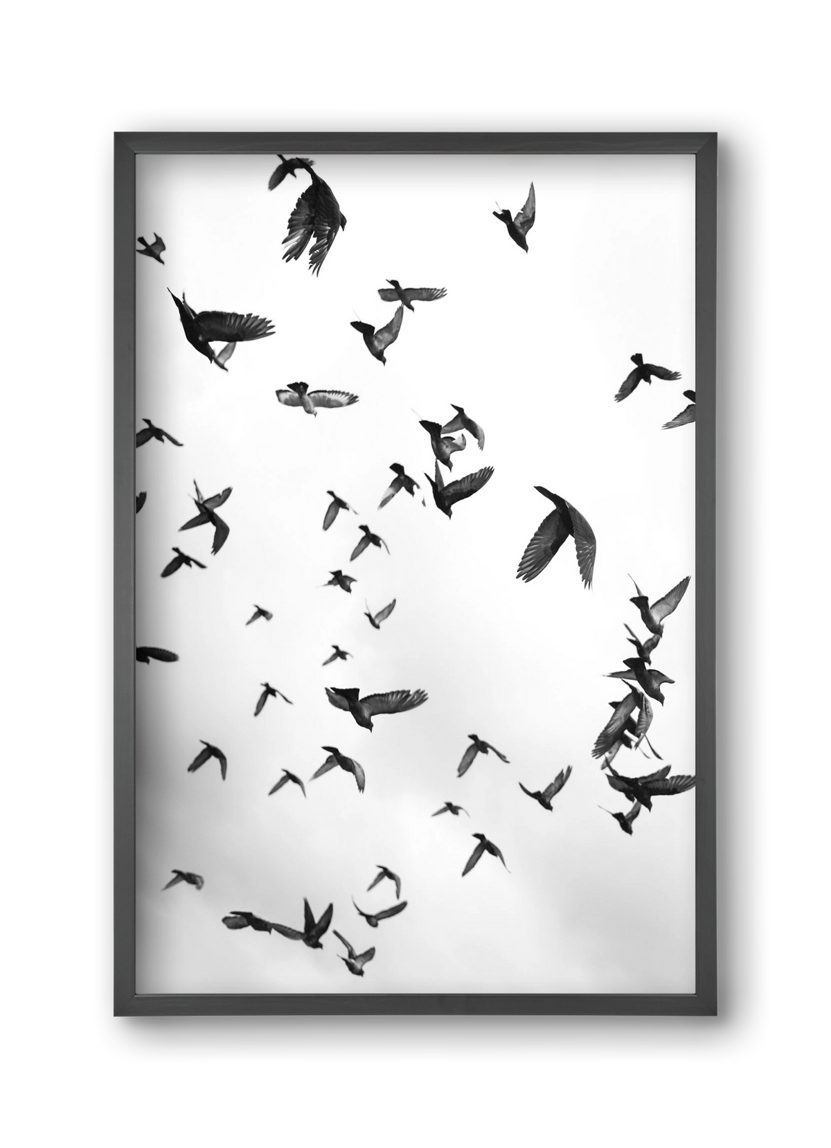 Flight & Freedom II., 30x45 cm (30x45 cm), Fekete keret