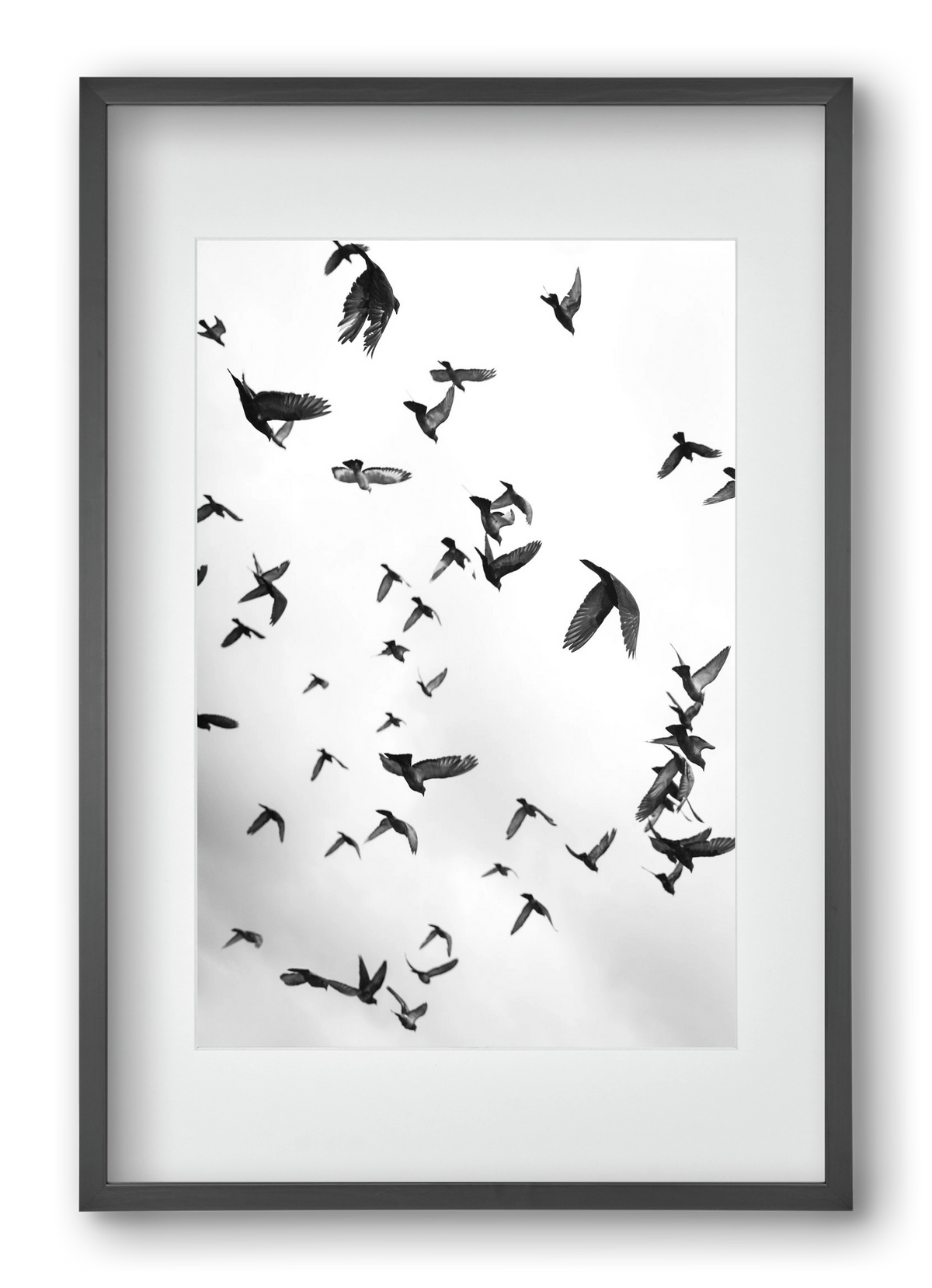 Flight & Freedom II., 40x60 cm (30x45 cm), Fekete keret, paszpartuval