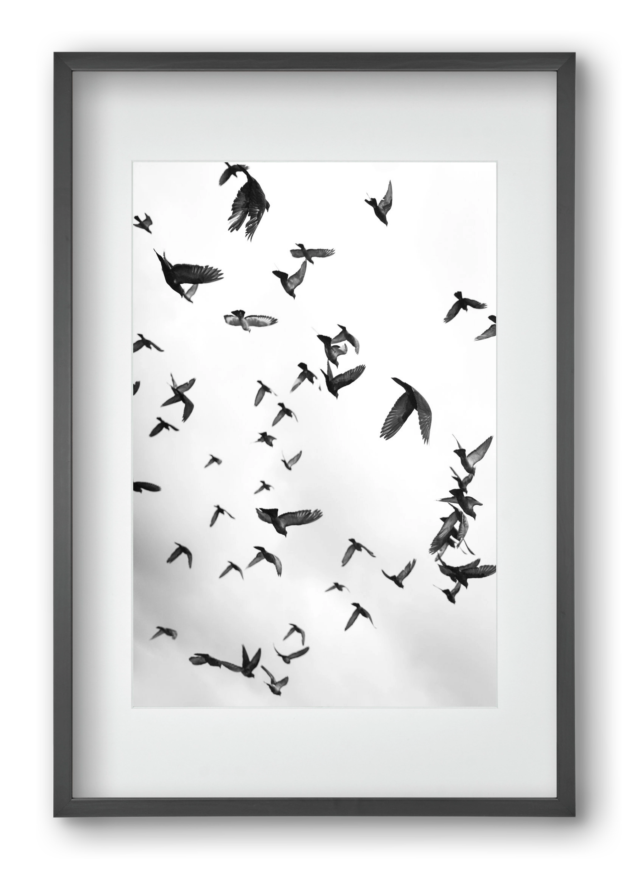 Flight & Freedom II., 40x60 cm (30x45 cm), Fekete keret, paszpartuval