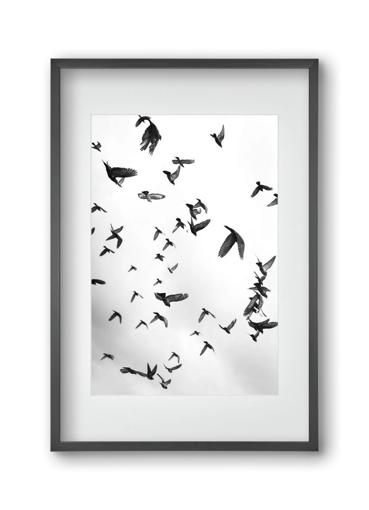 Flight & Freedom II., 30x45 cm (20x30 cm), Fekete keret, paszpartuval