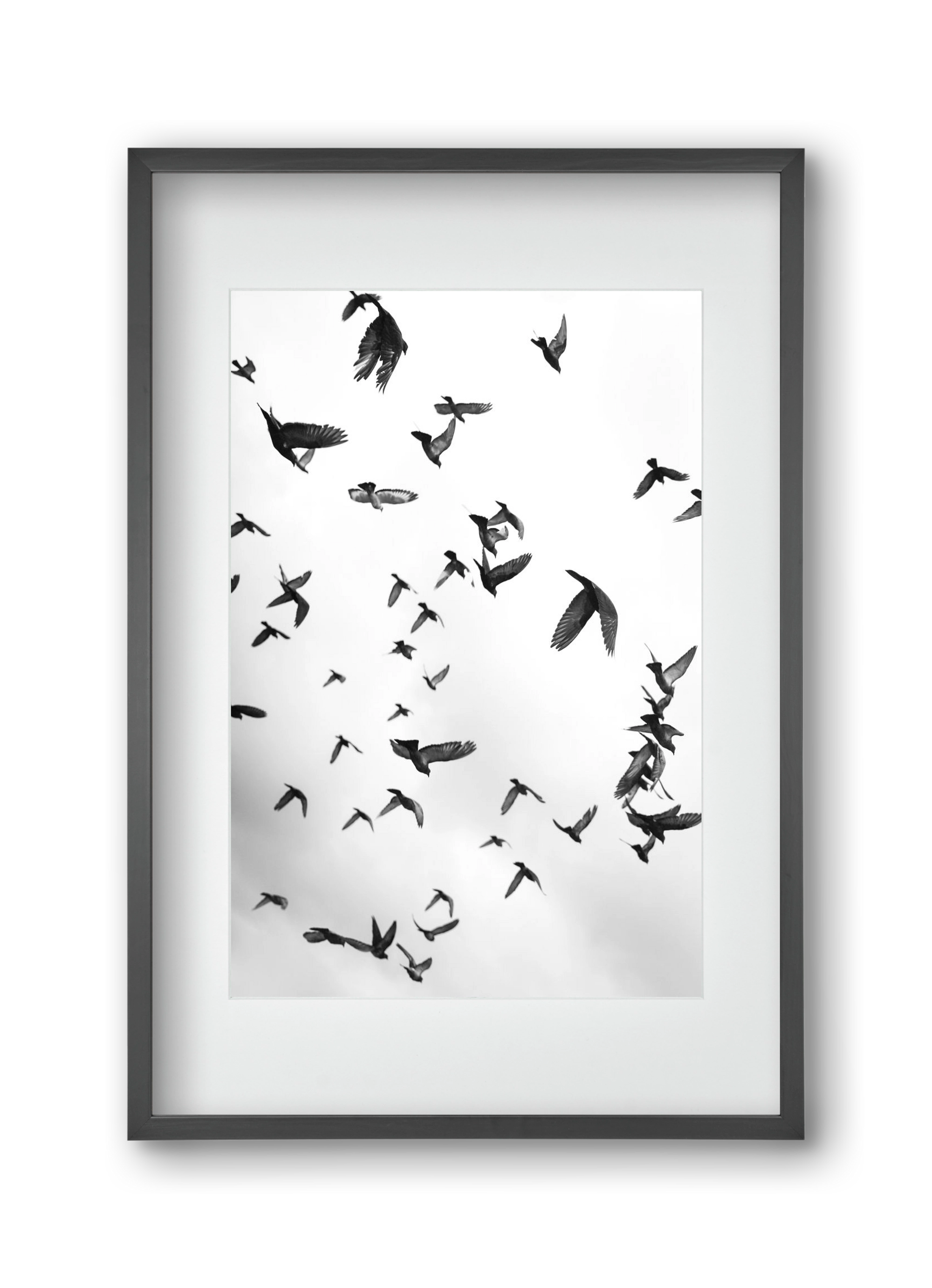 Flight & Freedom II., 30x45 cm (20x30 cm), Fekete keret, paszpartuval