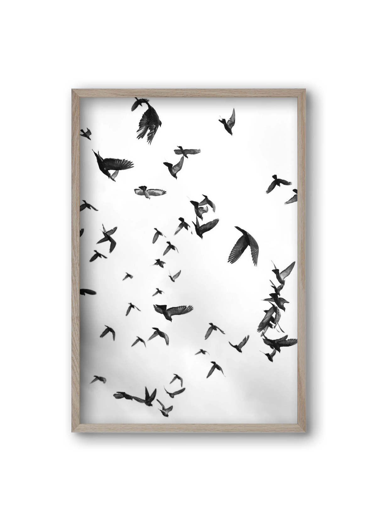 Flight & Freedom II., 20x30 cm (20x30 cm), Tölgy keret