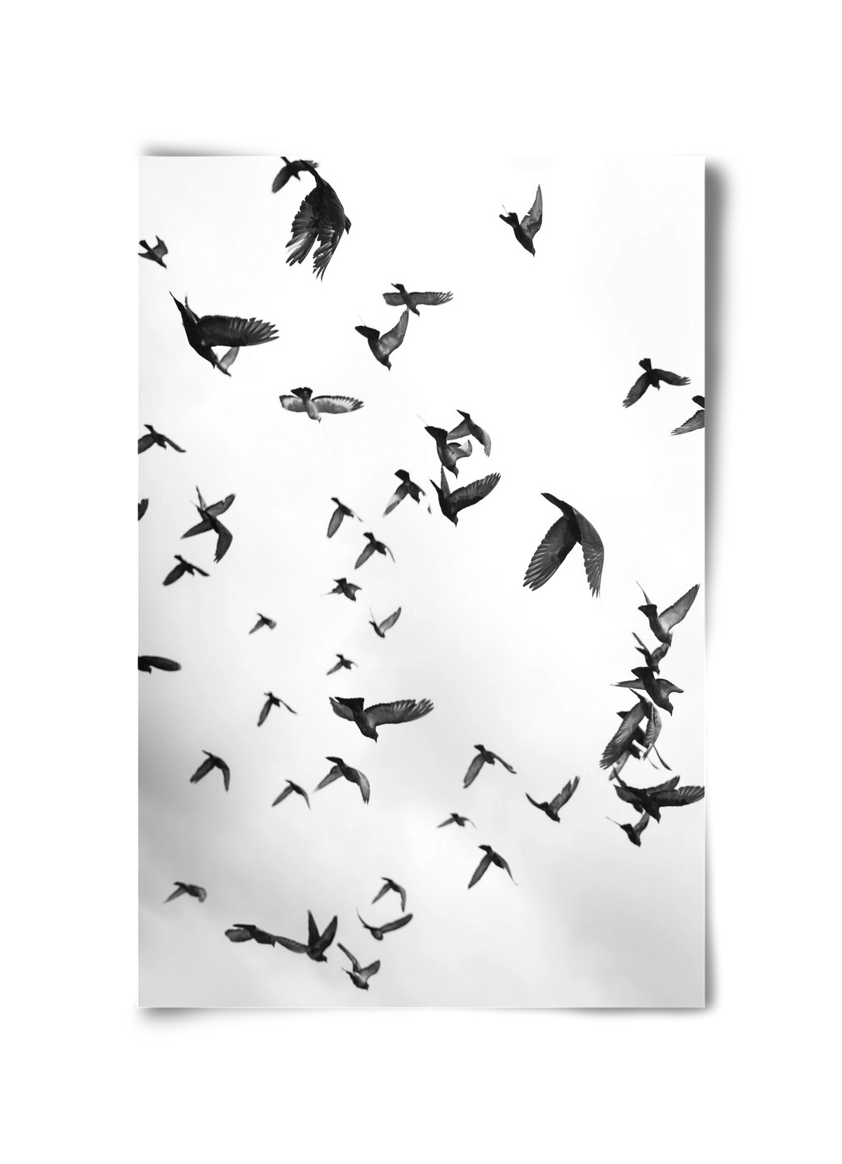 Flight & Freedom II., 30x45 cm, Keret nélkül