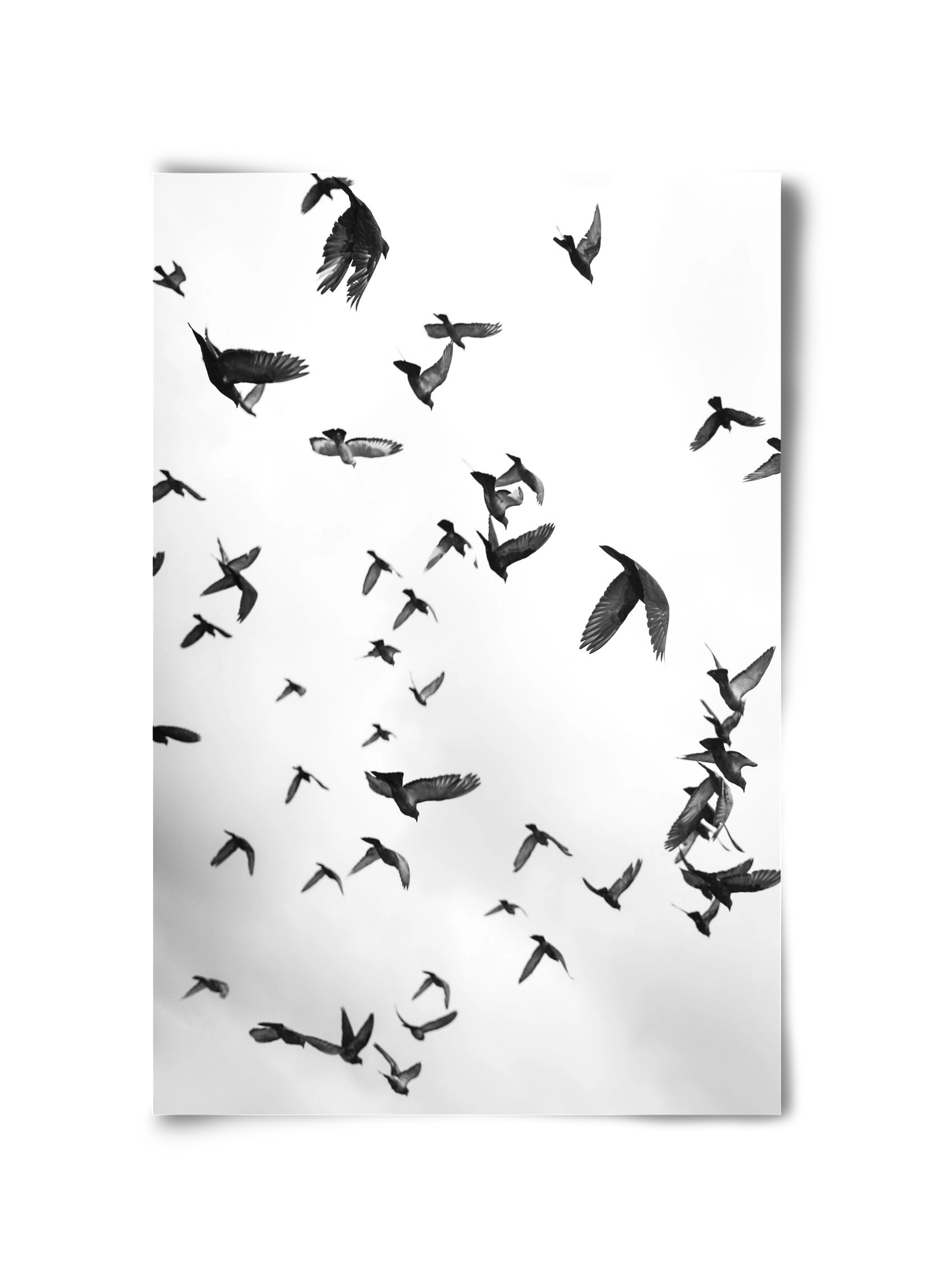 Flight & Freedom II., 30x45 cm, Keret nélkül