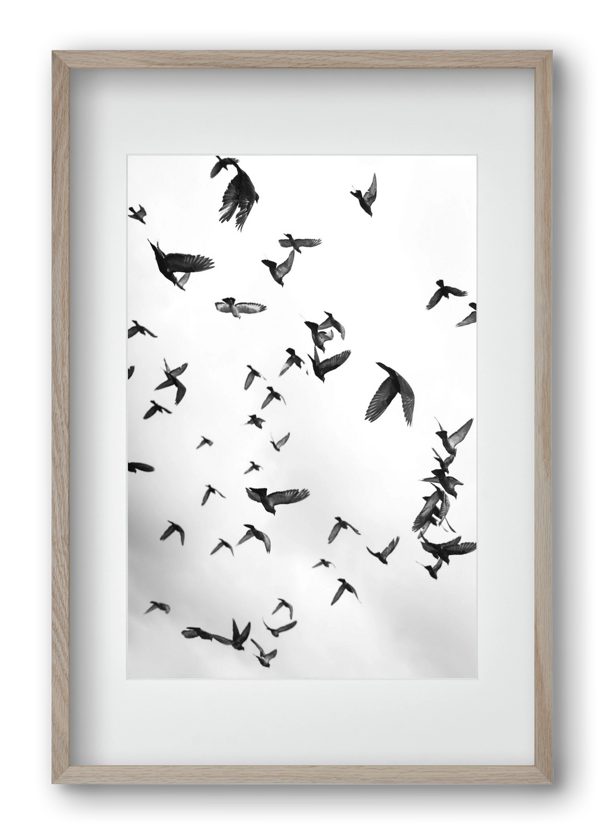 Flight & Freedom II., 40x60 cm (30x45 cm), Tölgy keret, paszpartuval