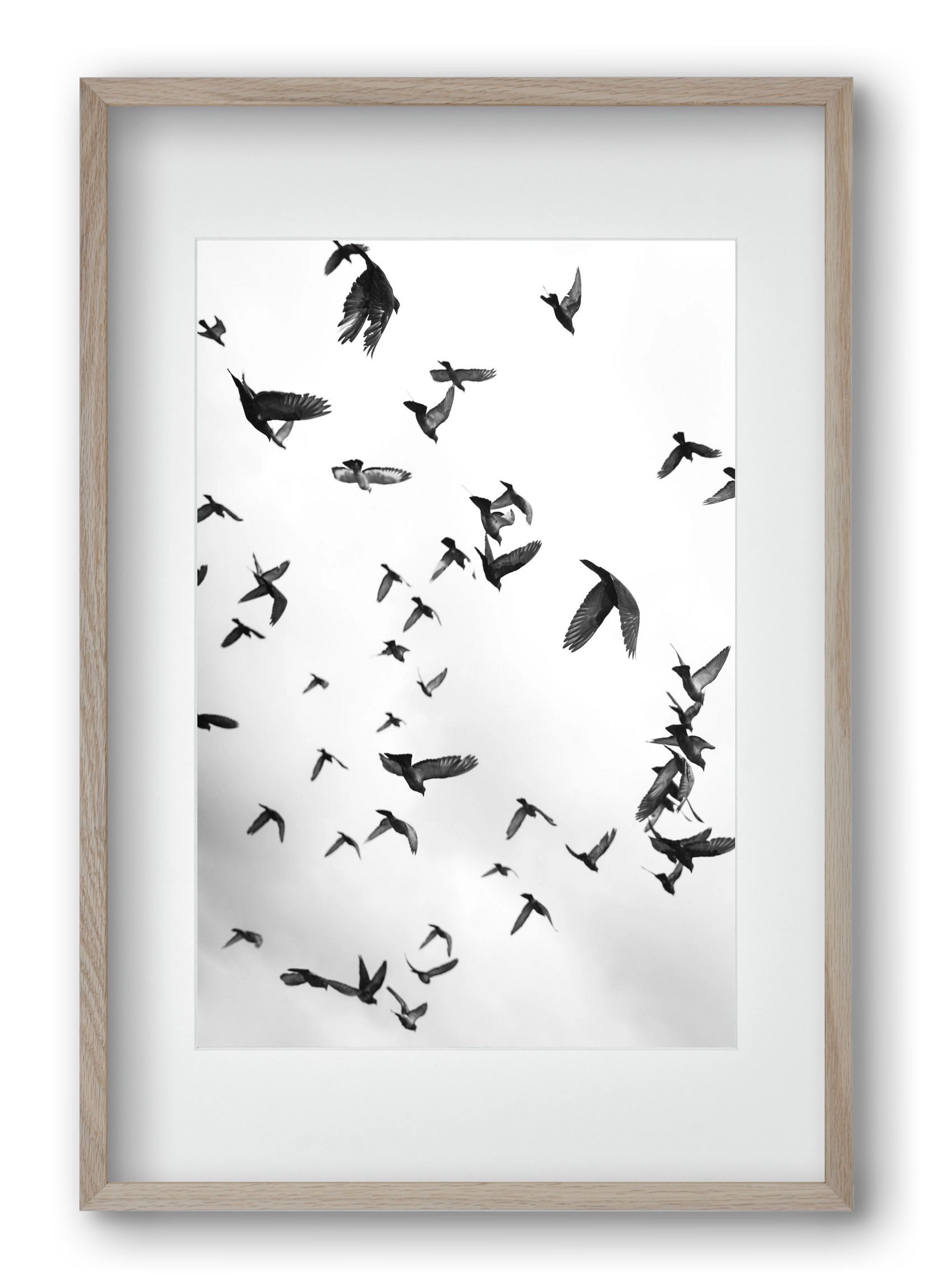 Flight & Freedom II., 40x60 cm (30x45 cm), Tölgy keret, paszpartuval