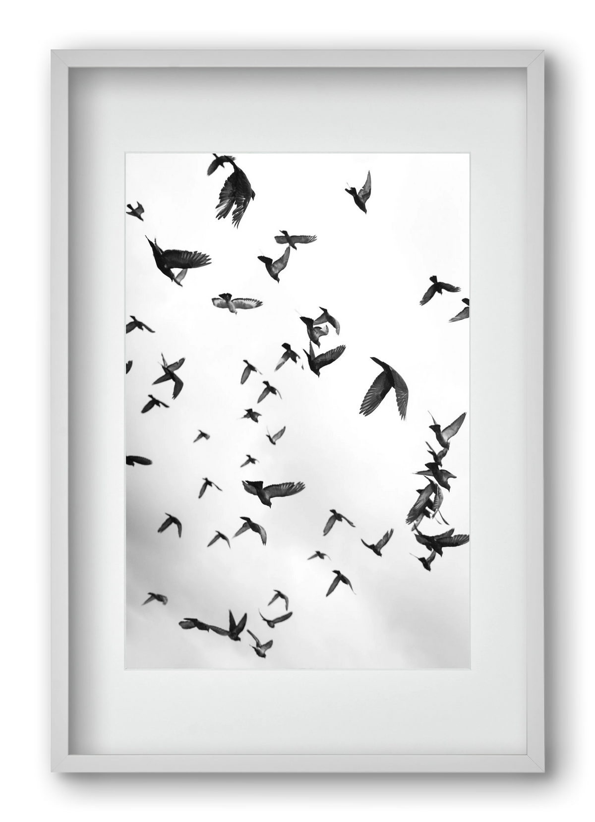 Flight & Freedom II., 40x60 cm (30x45 cm), Fehér keret, paszpartuval