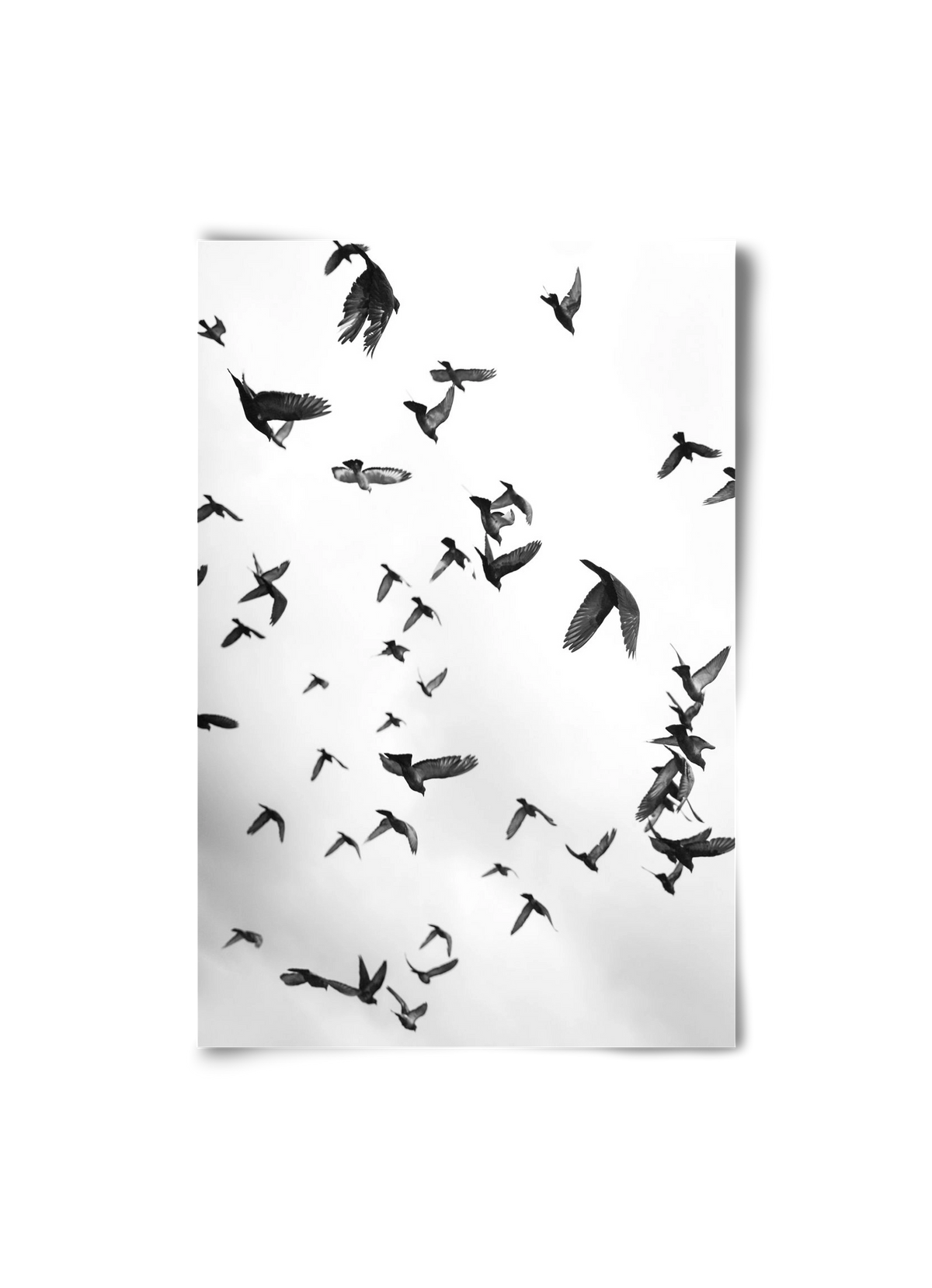 Flight & Freedom II., 20x30 cm, Keret nélkül