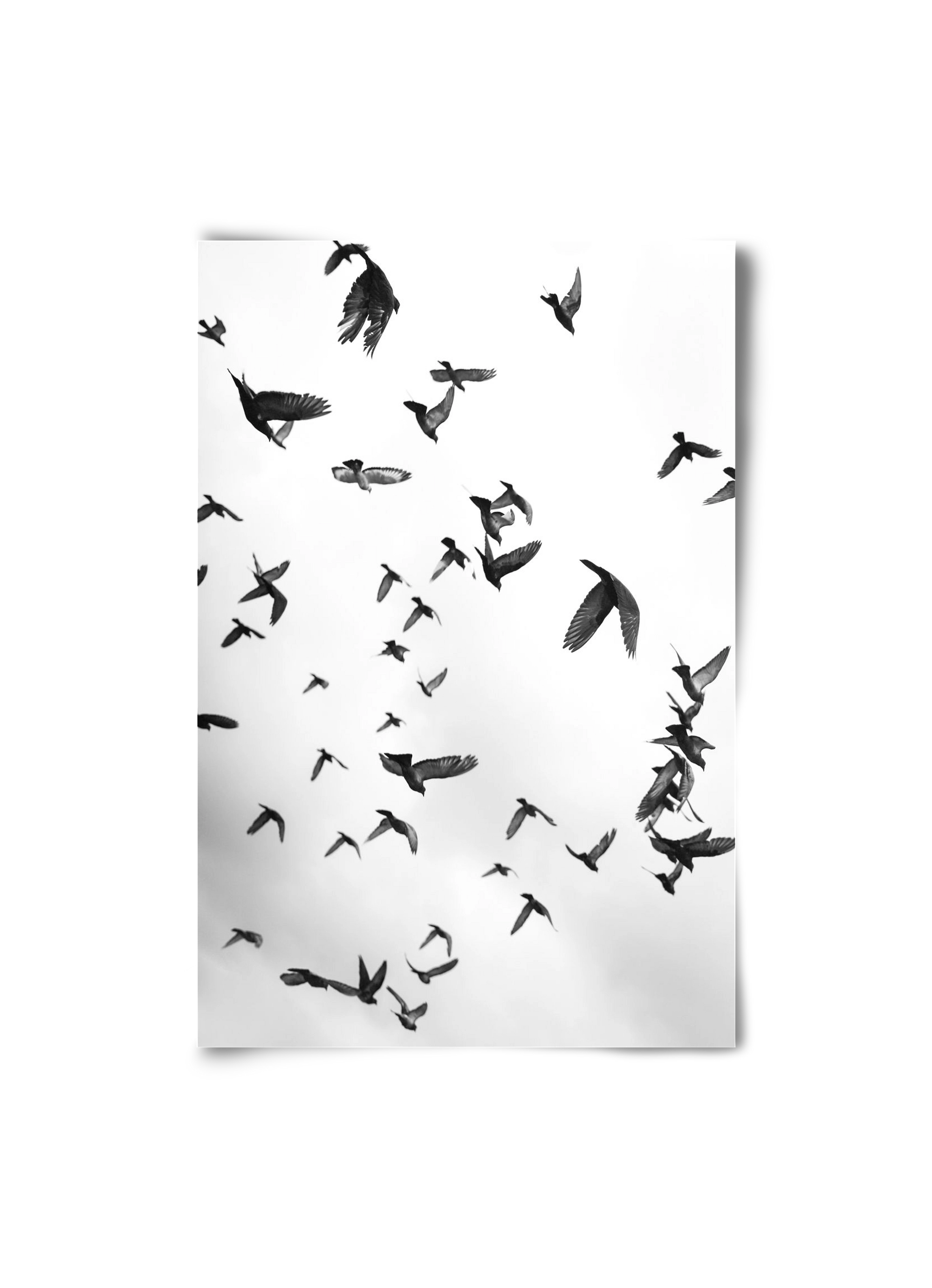 Flight & Freedom II., 20x30 cm, Keret nélkül