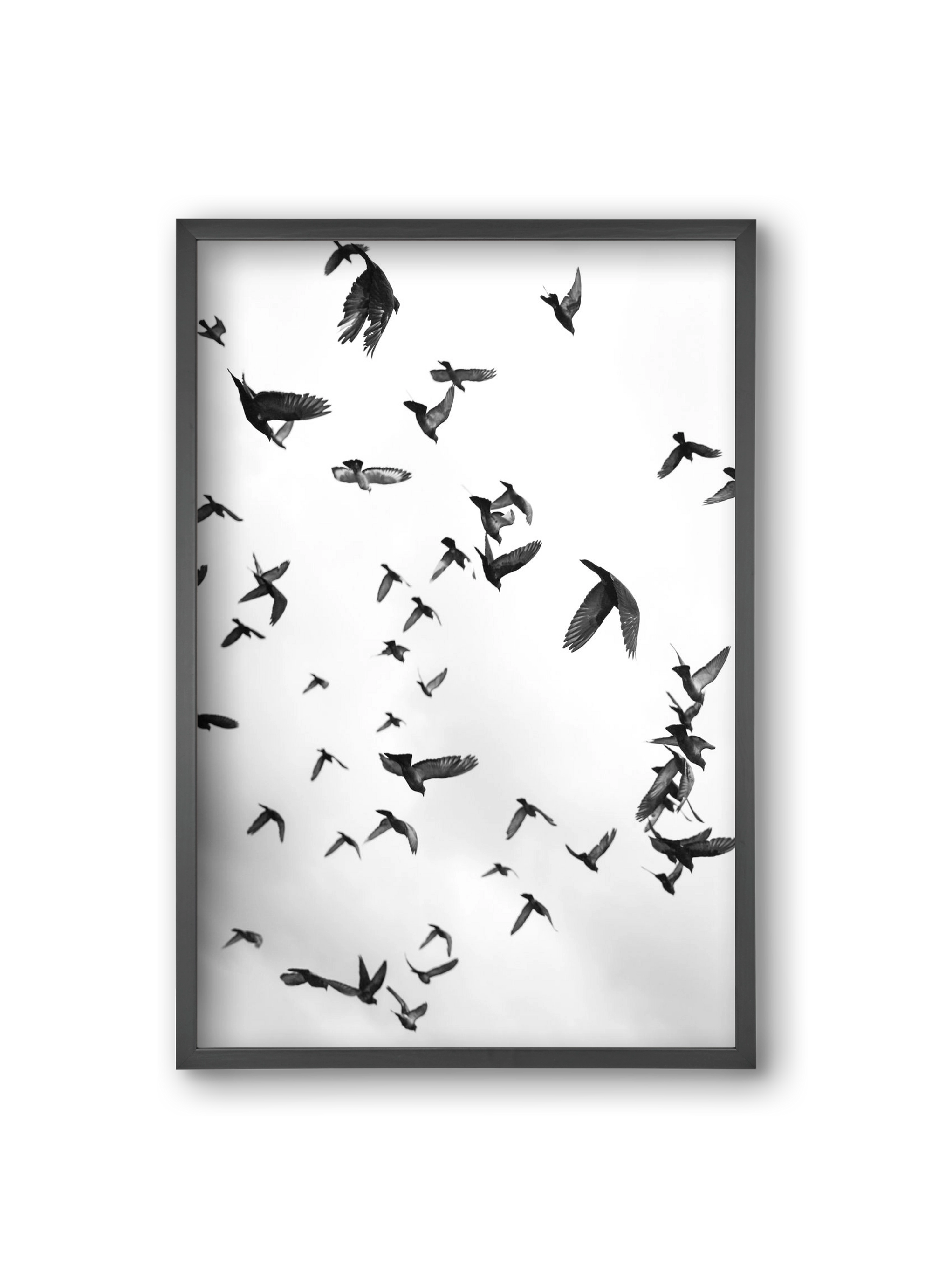 Flight & Freedom II., 20x30 cm (20x30 cm), Fekete keret