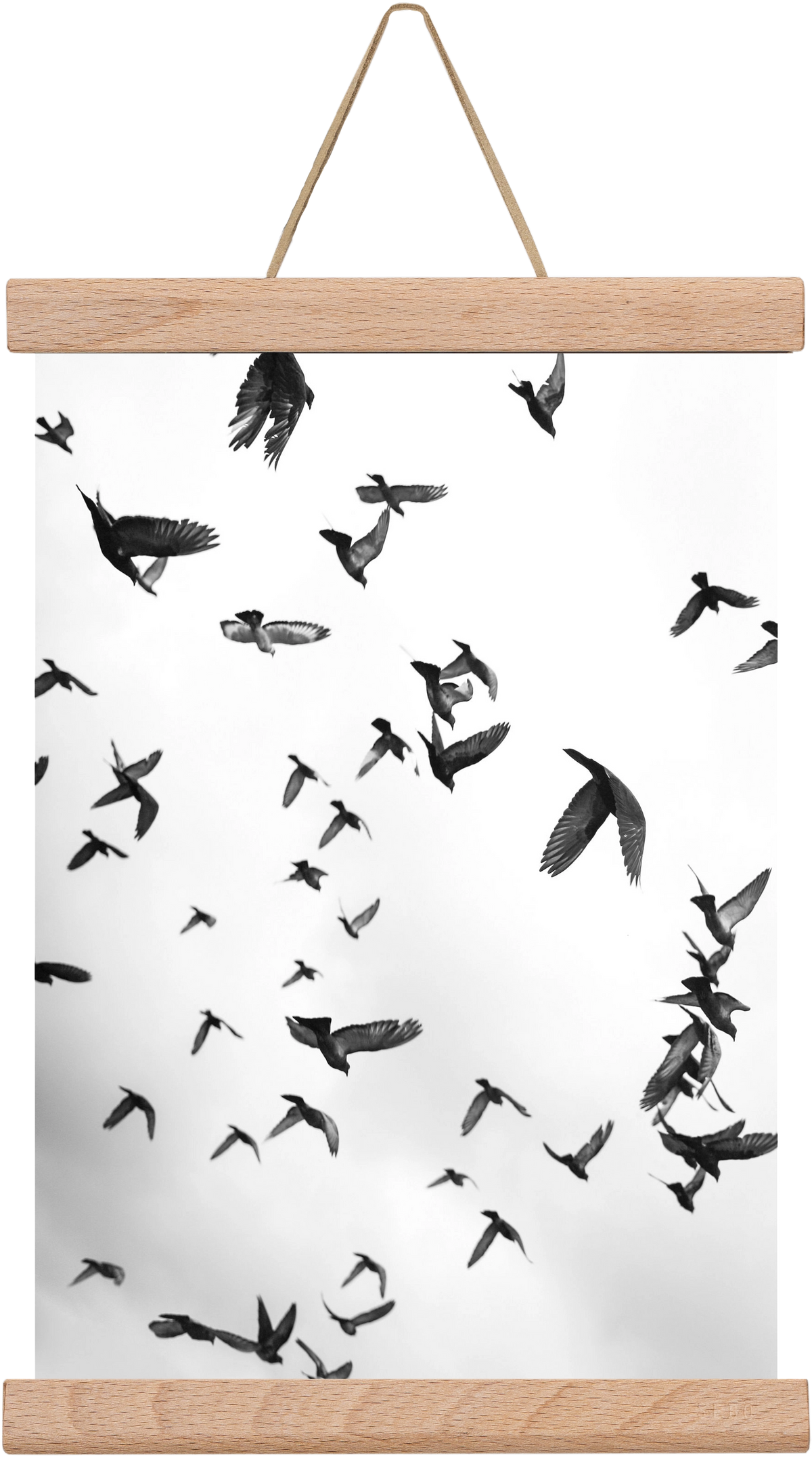 Flight & Freedom II., 20x30 cm (20x30 cm), Tölgy akasztó