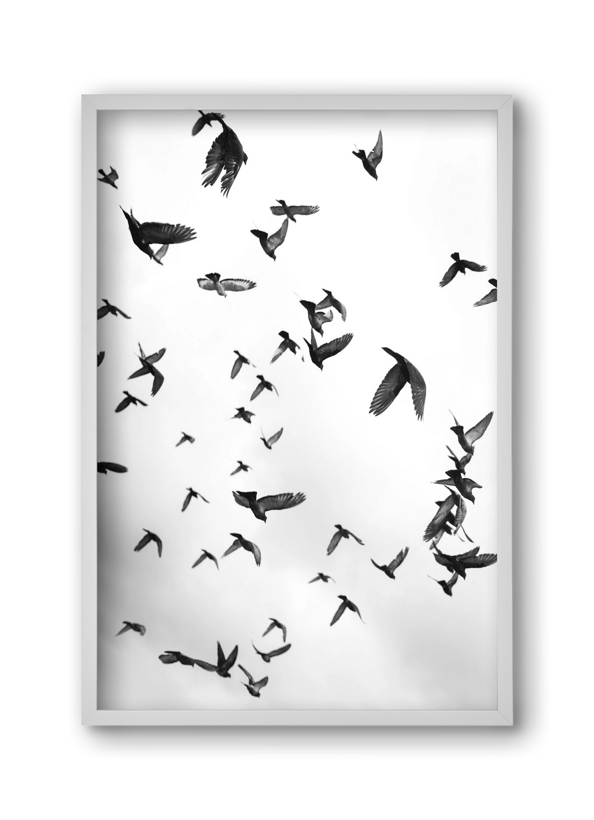 Flight & Freedom II., 30x45 cm (30x45 cm), Fehér keret