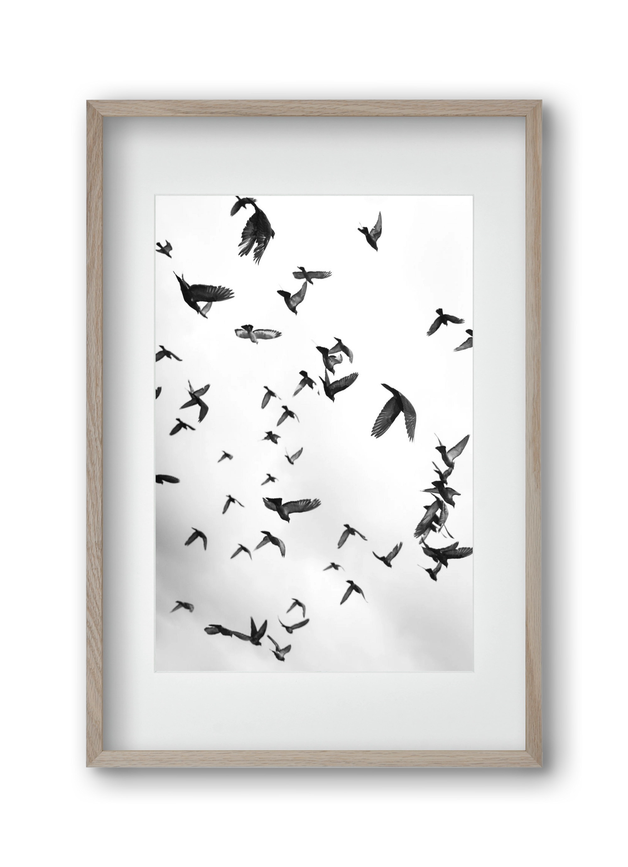 Flight & Freedom II., 30x45 cm (20x30 cm), Tölgy keret, paszpartuval