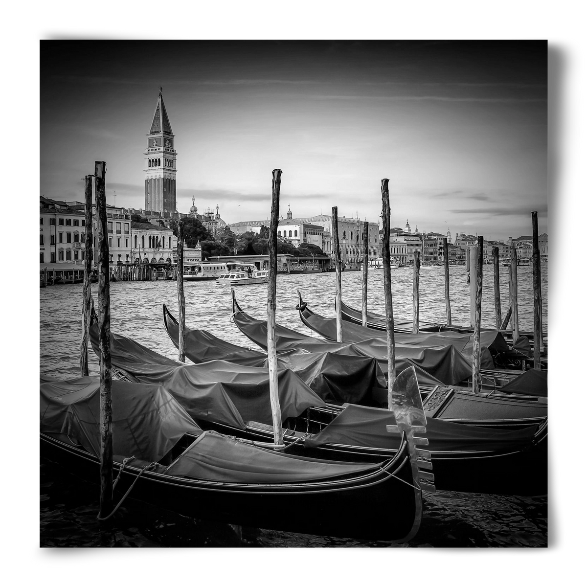 VENICE Grand Canal and St Mark's Campanile | Monochrome, 50x50 cm, Keret nélkül