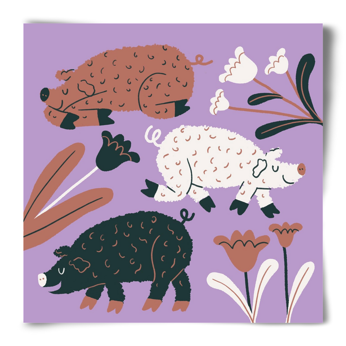 Mangalicák, 50x50 cm, Keret nélkül