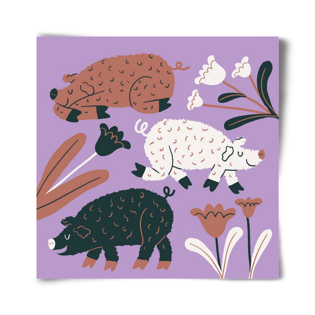 Mangalicák, 40x40 cm, Keret nélkül