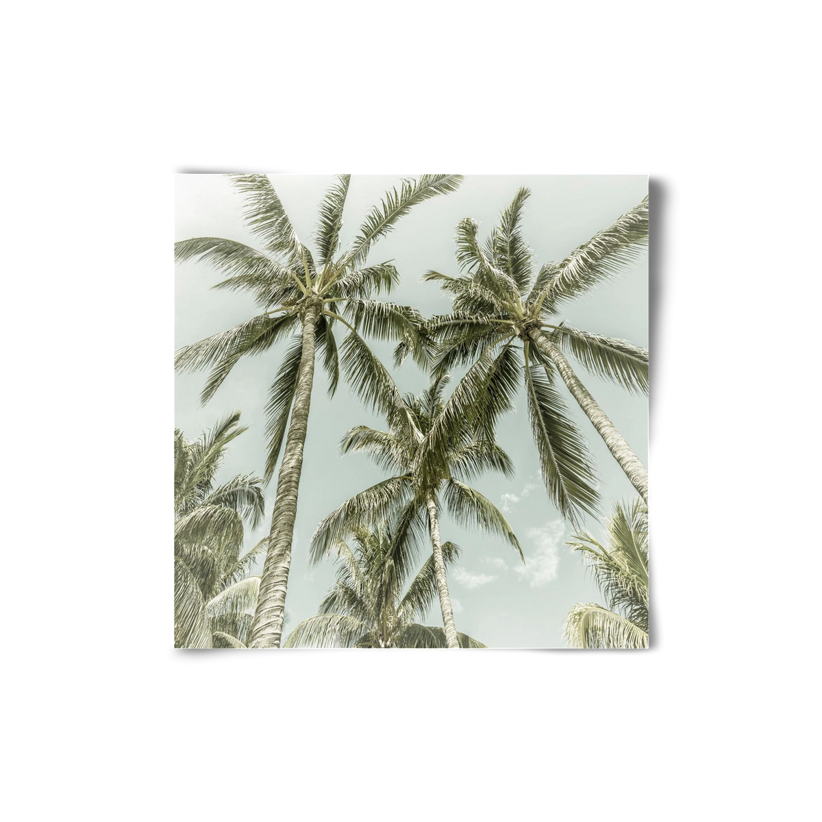 Lovely Palm Trees | Vintage, 20x20 cm, Keret nélkül