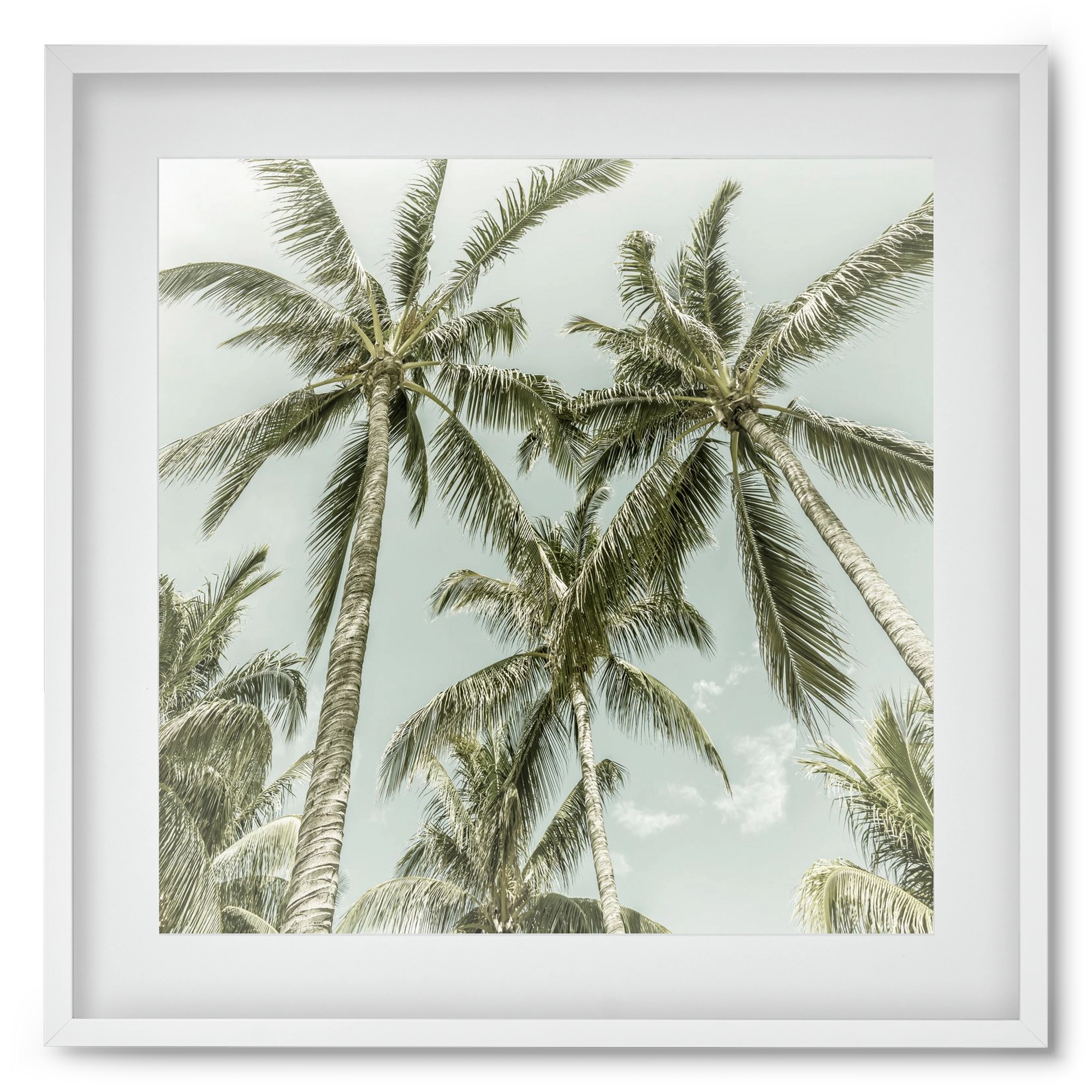 Lovely Palm Trees | Vintage, 50x50 cm (40x40 cm), Fehér keret, paszpartuval