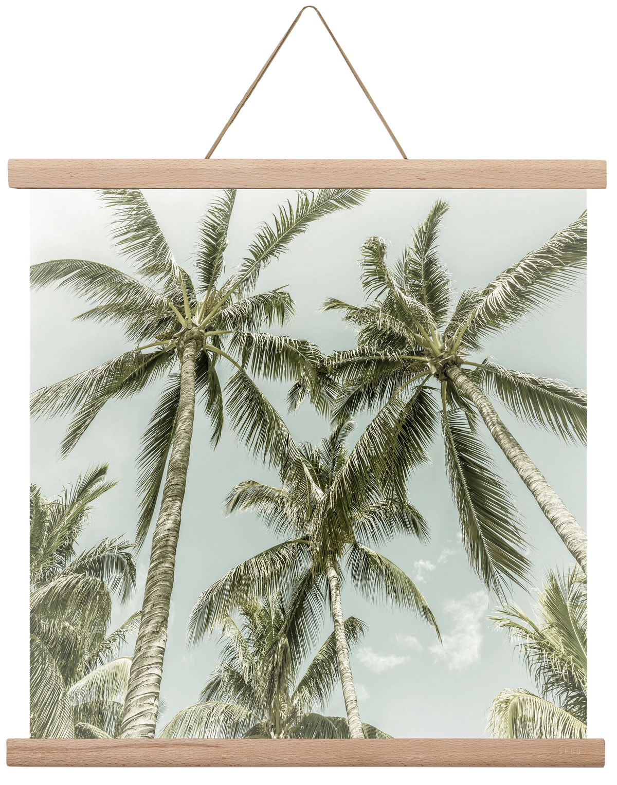 Lovely Palm Trees | Vintage, 40x40 cm (40x40 cm), Tölgy akasztó