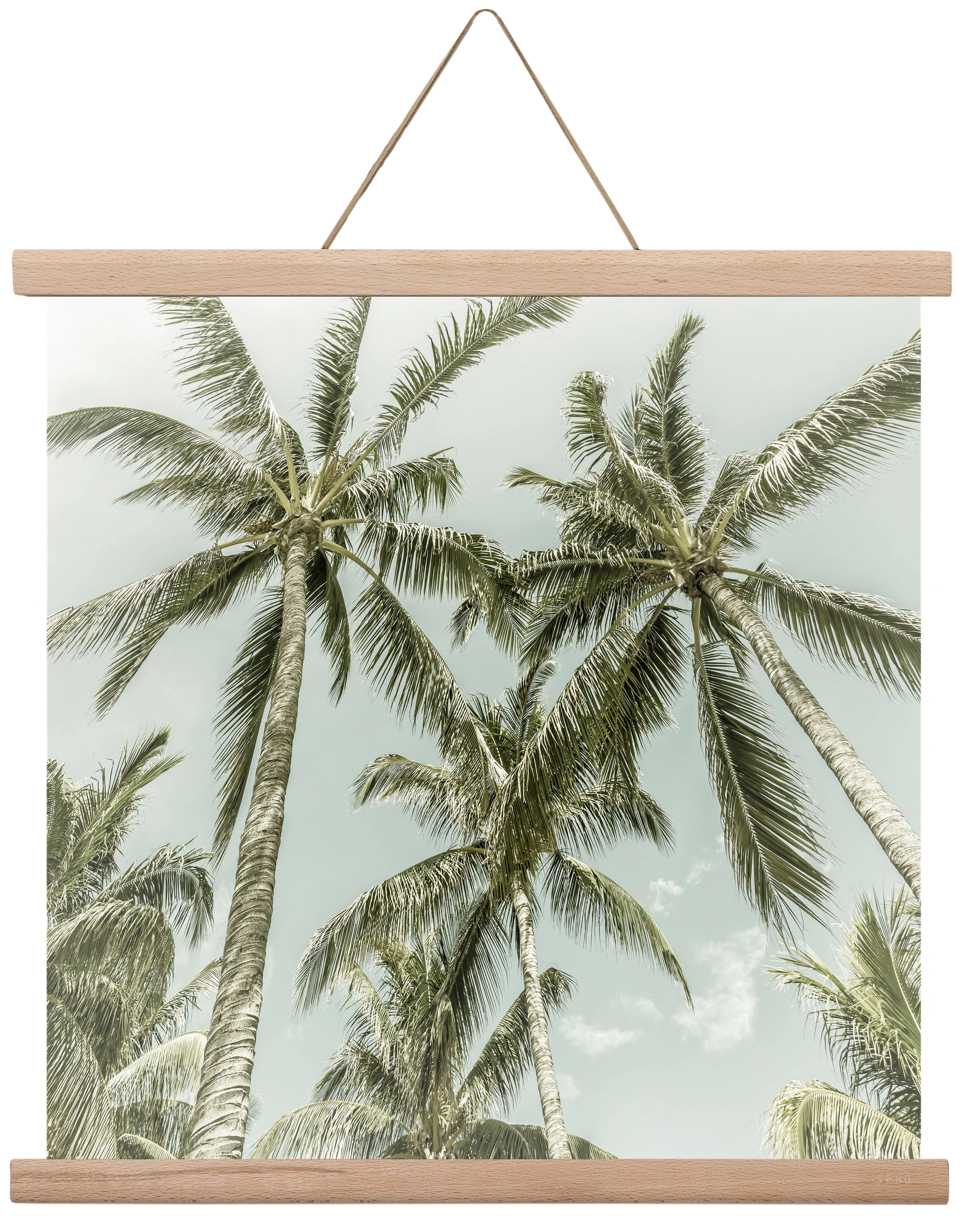 Lovely Palm Trees | Vintage, 40x40 cm (40x40 cm), Tölgy akasztó