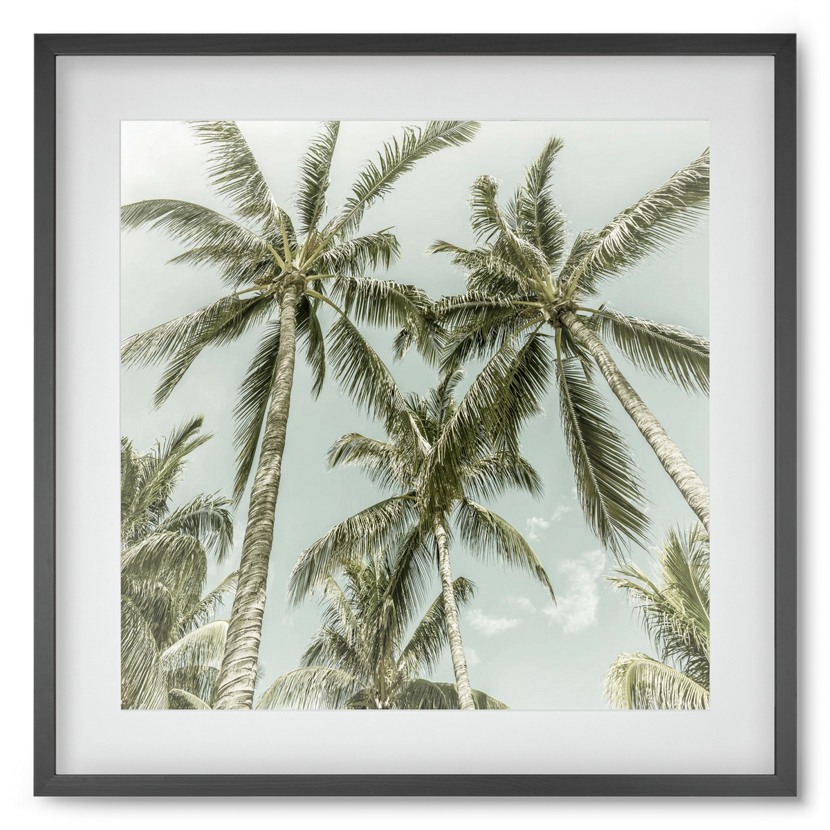 Lovely Palm Trees | Vintage, 50x50 cm (40x40 cm), Fekete keret, paszpartuval
