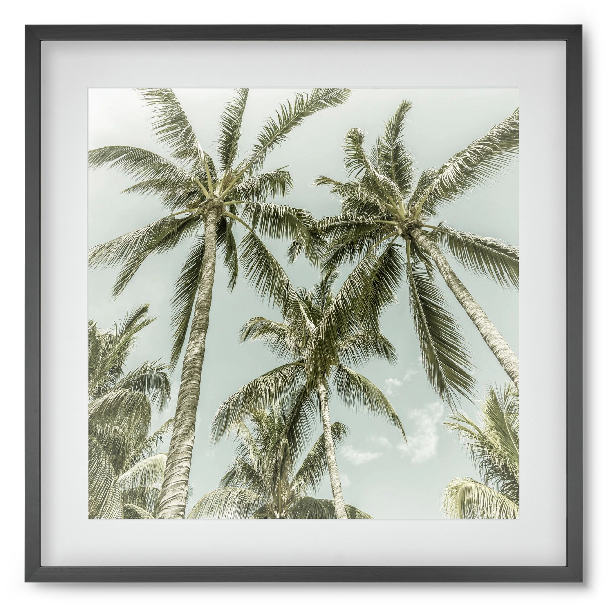 Lovely Palm Trees | Vintage, 50x50 cm (40x40 cm), Fekete keret, paszpartuval