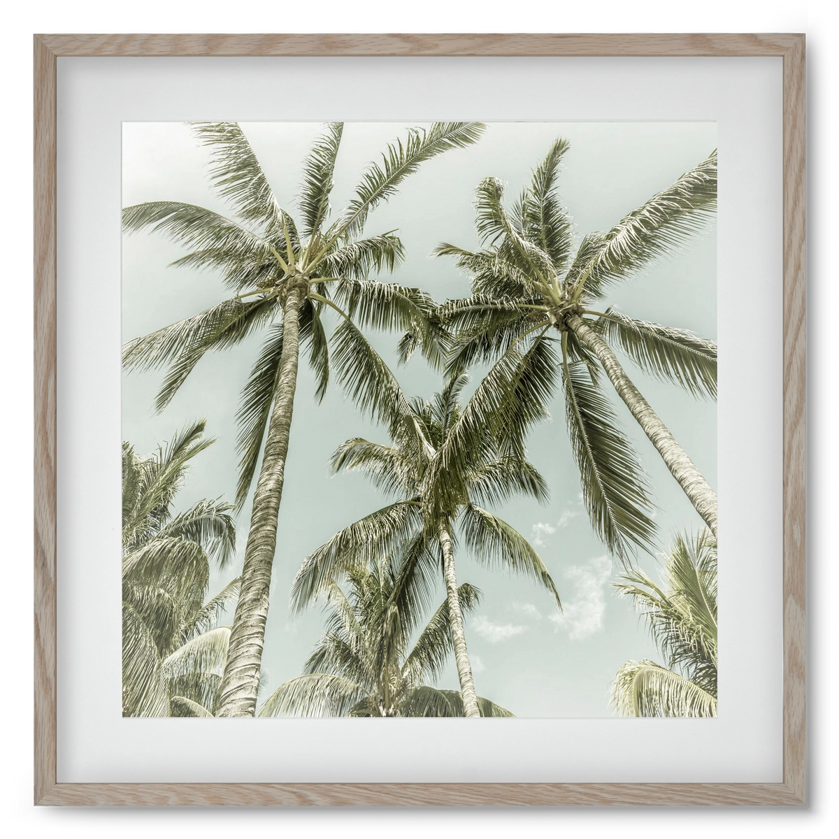 Lovely Palm Trees | Vintage, 50x50 cm (40x40 cm), Tölgy keret, paszpartuval