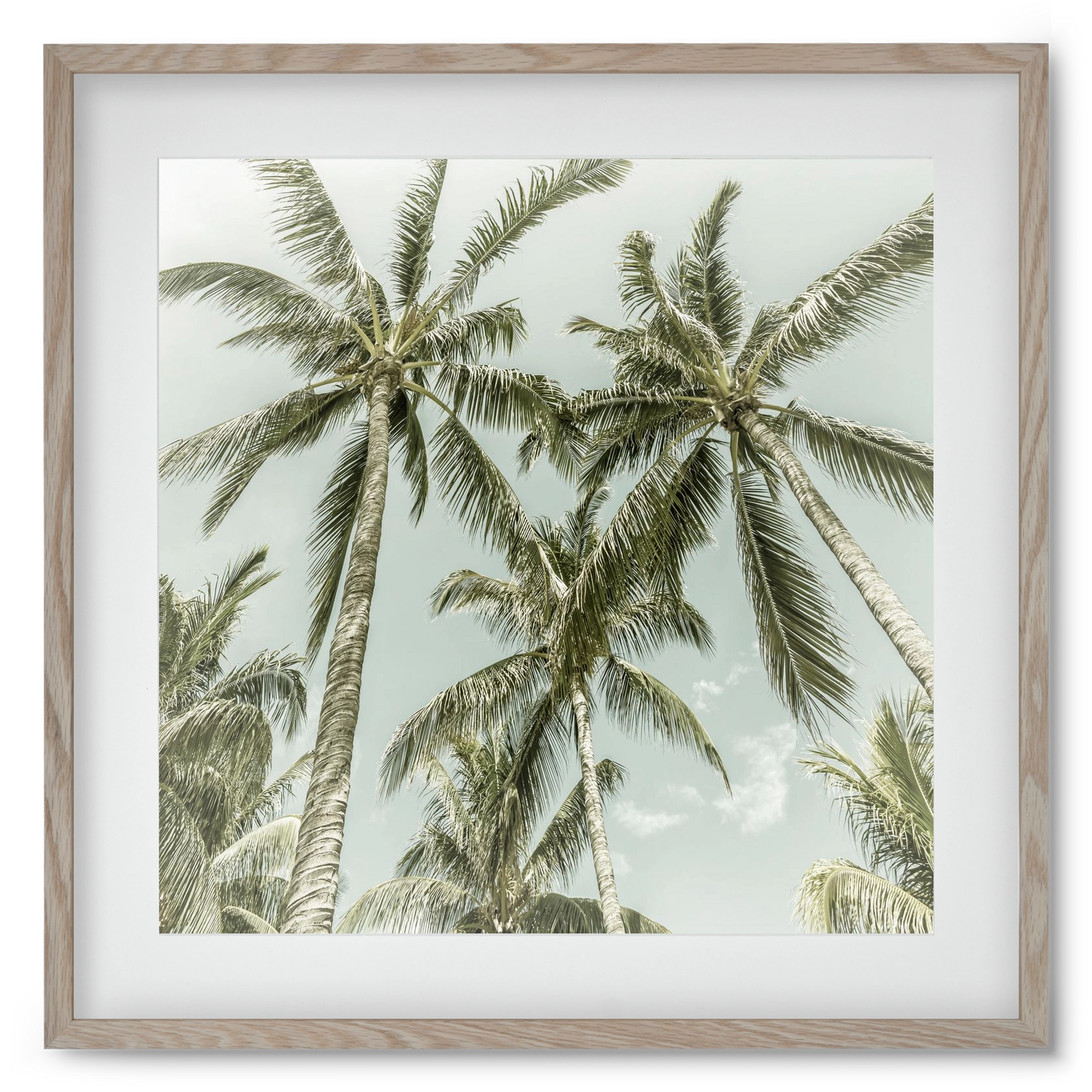 Lovely Palm Trees | Vintage, 50x50 cm (40x40 cm), Tölgy keret, paszpartuval
