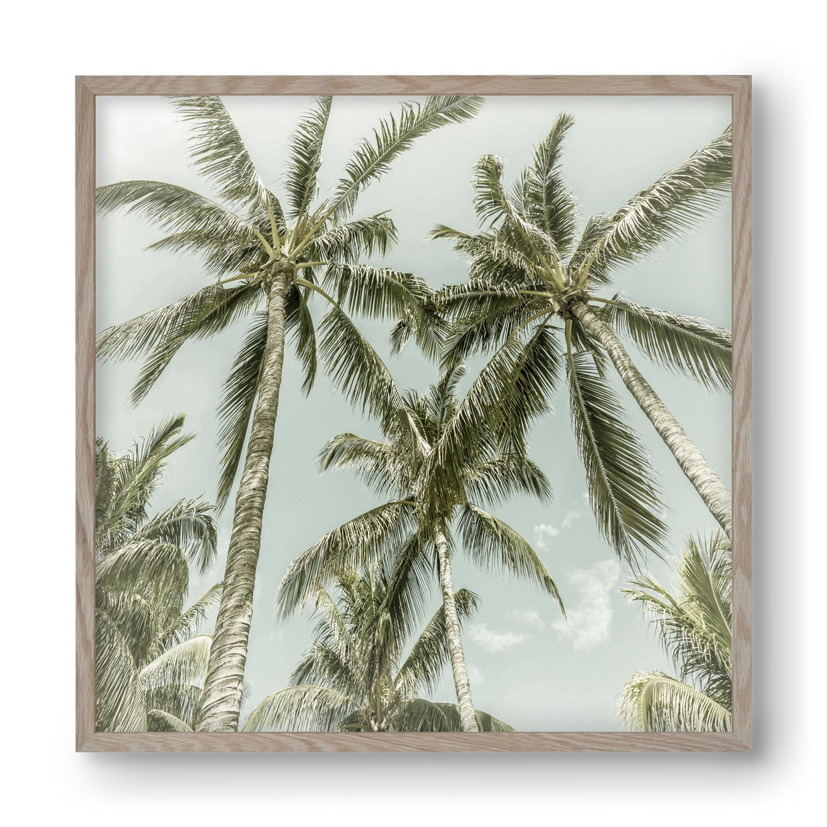 Lovely Palm Trees | Vintage, 40x40 cm (40x40 cm), Tölgy keret